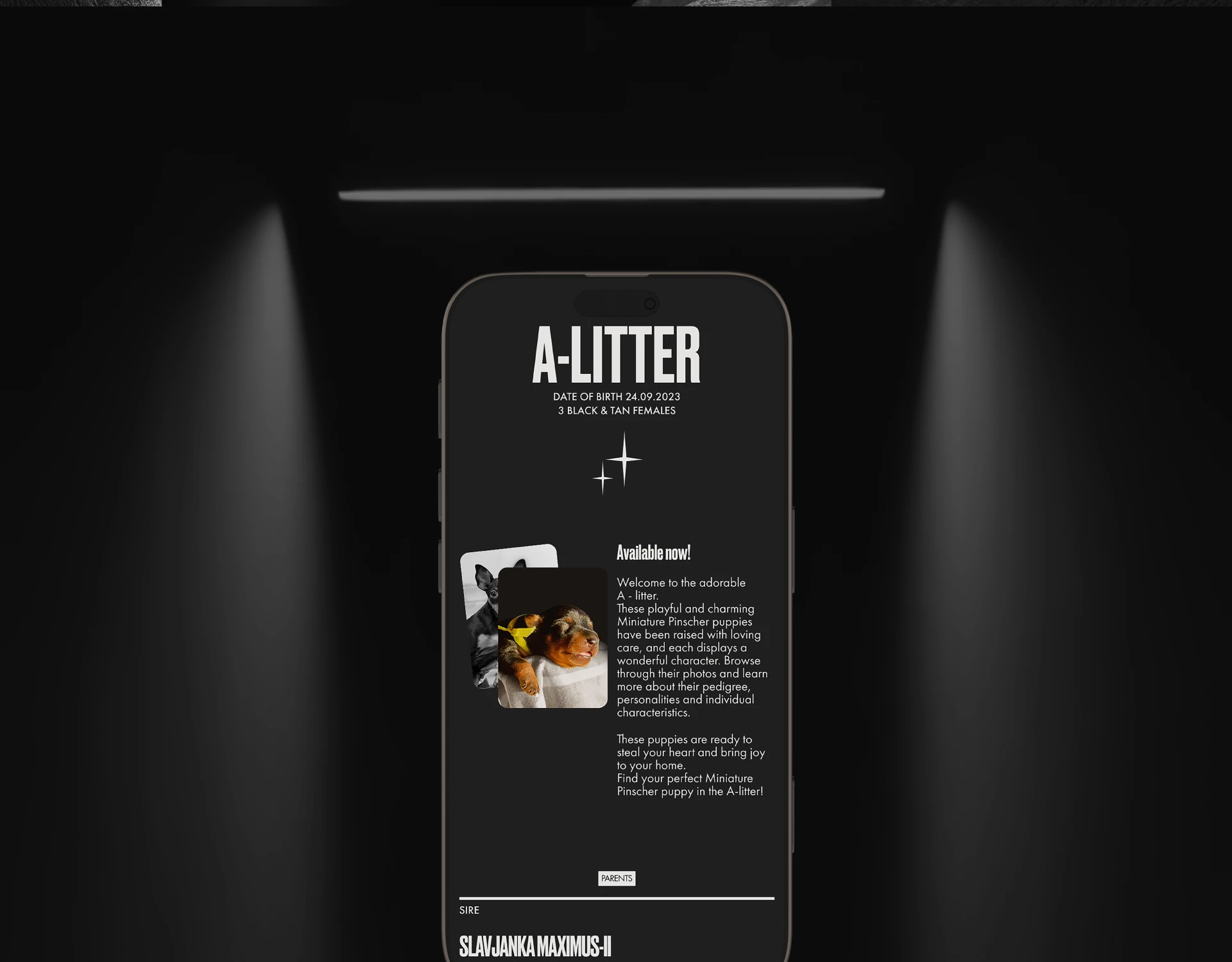 Design concept of corporate website — Изображение №17 — Интерфейсы на Dprofile