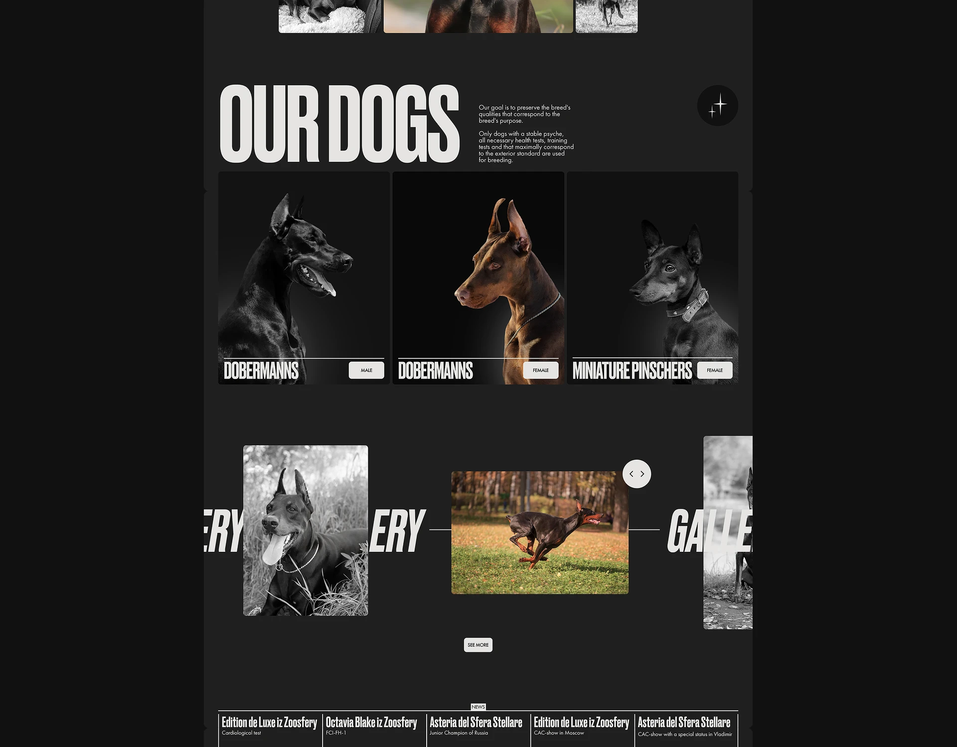 Design concept of corporate website — Изображение №5 — Интерфейсы на Dprofile