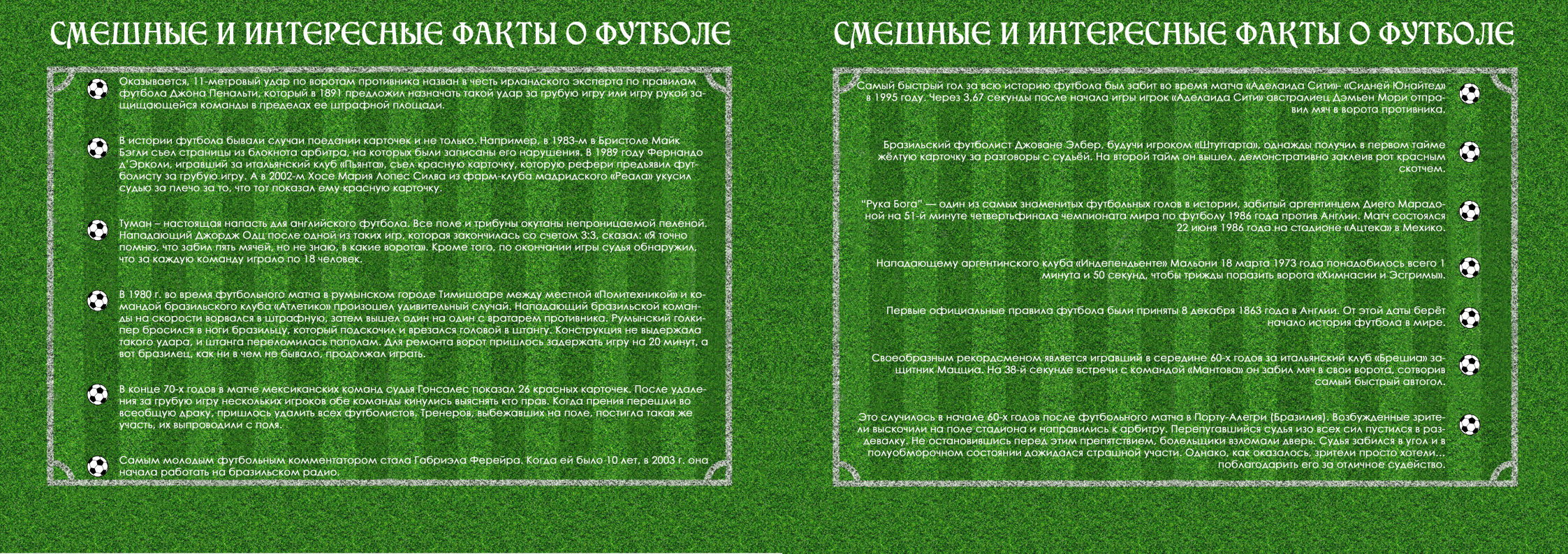 Печатная продукция - дневник футболиста — Изображение №9 — Брендинг, Графика на Dprofile