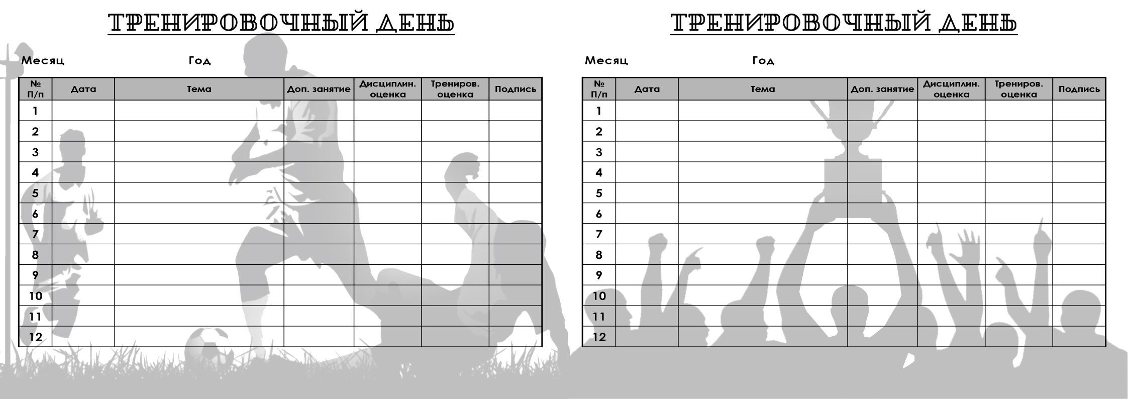 Печатная продукция - дневник футболиста — Изображение №6 — Брендинг, Графика на Dprofile