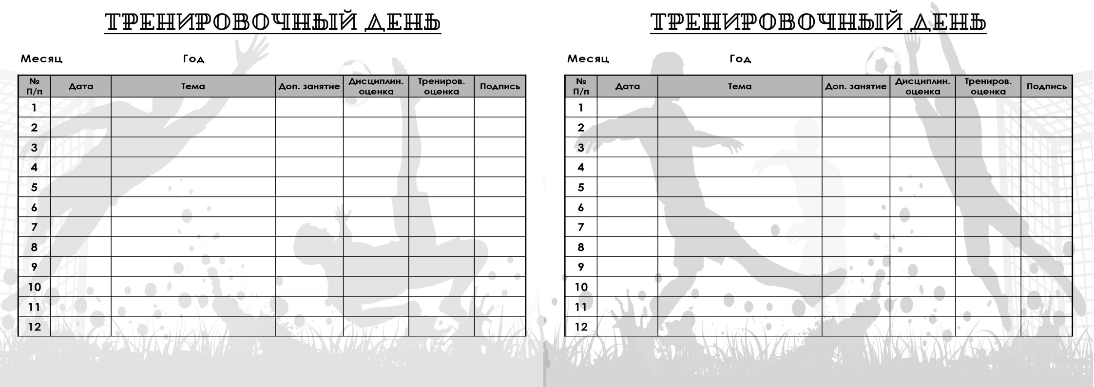 Печатная продукция - дневник футболиста — Изображение №4 — Брендинг, Графика на Dprofile