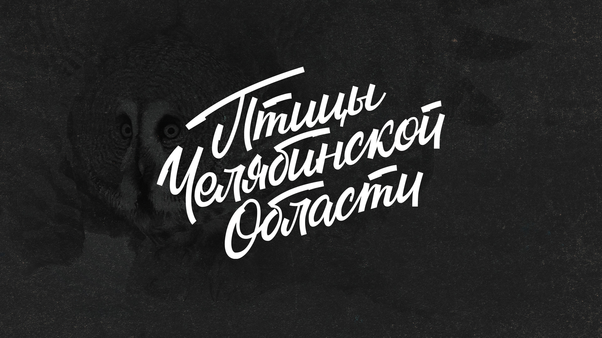 Леттеринг и логотипы 2021-2022 — Изображение №8 — Брендинг, Графика на Dprofile