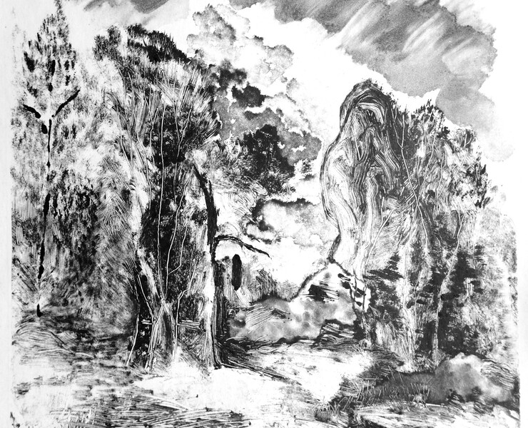 monotype "fjord" на Dprofile