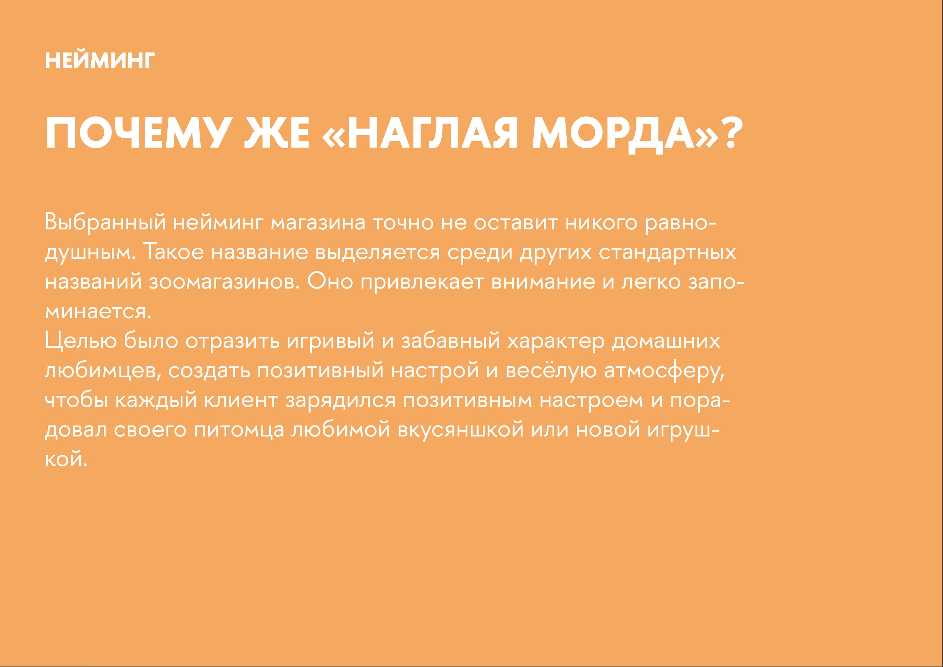 Айдентика зоомагазина "Наглая морда" — Изображение №4 — Брендинг на Dprofile