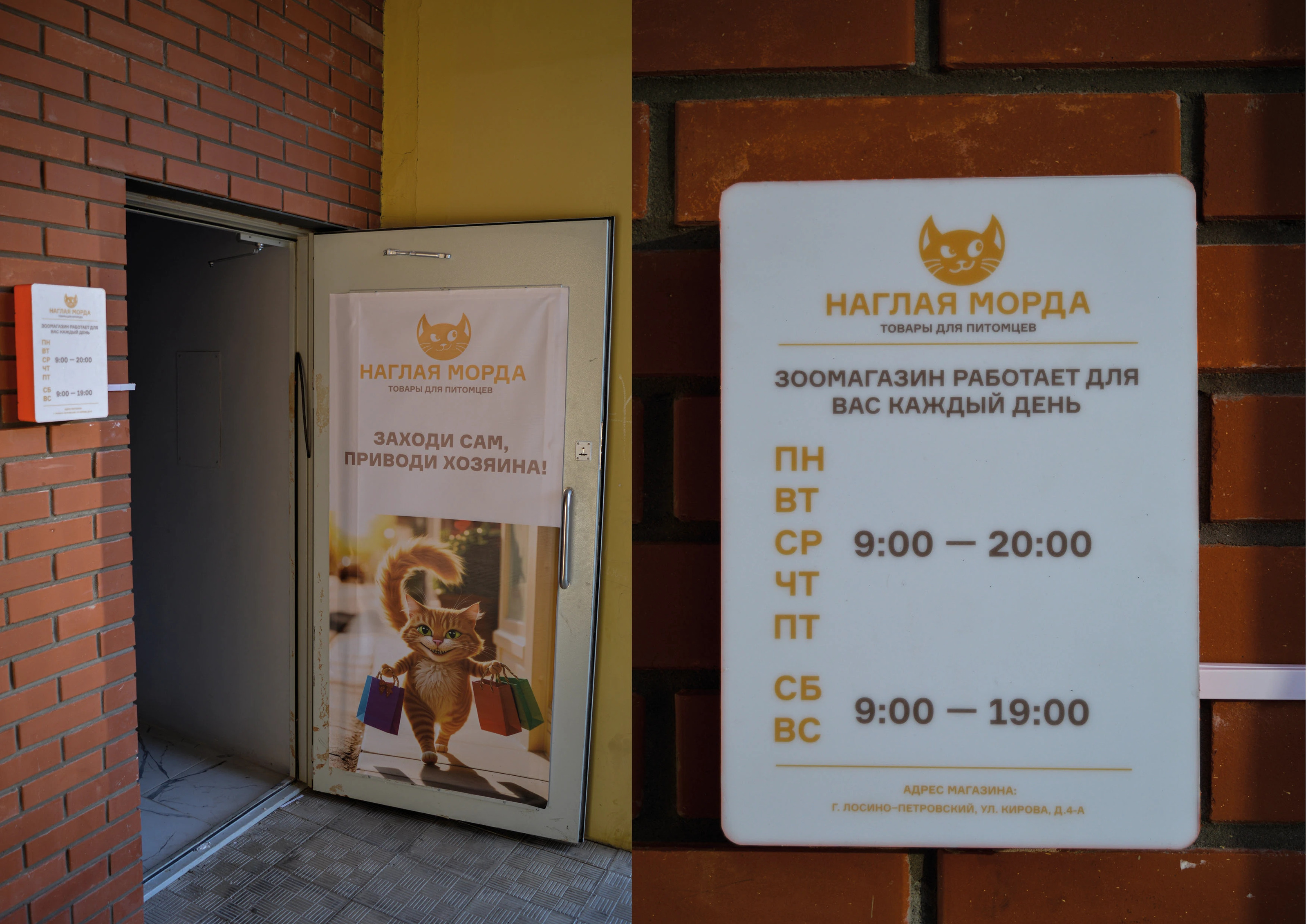 Айдентика зоомагазина "Наглая морда" — Изображение №8 — Брендинг на Dprofile