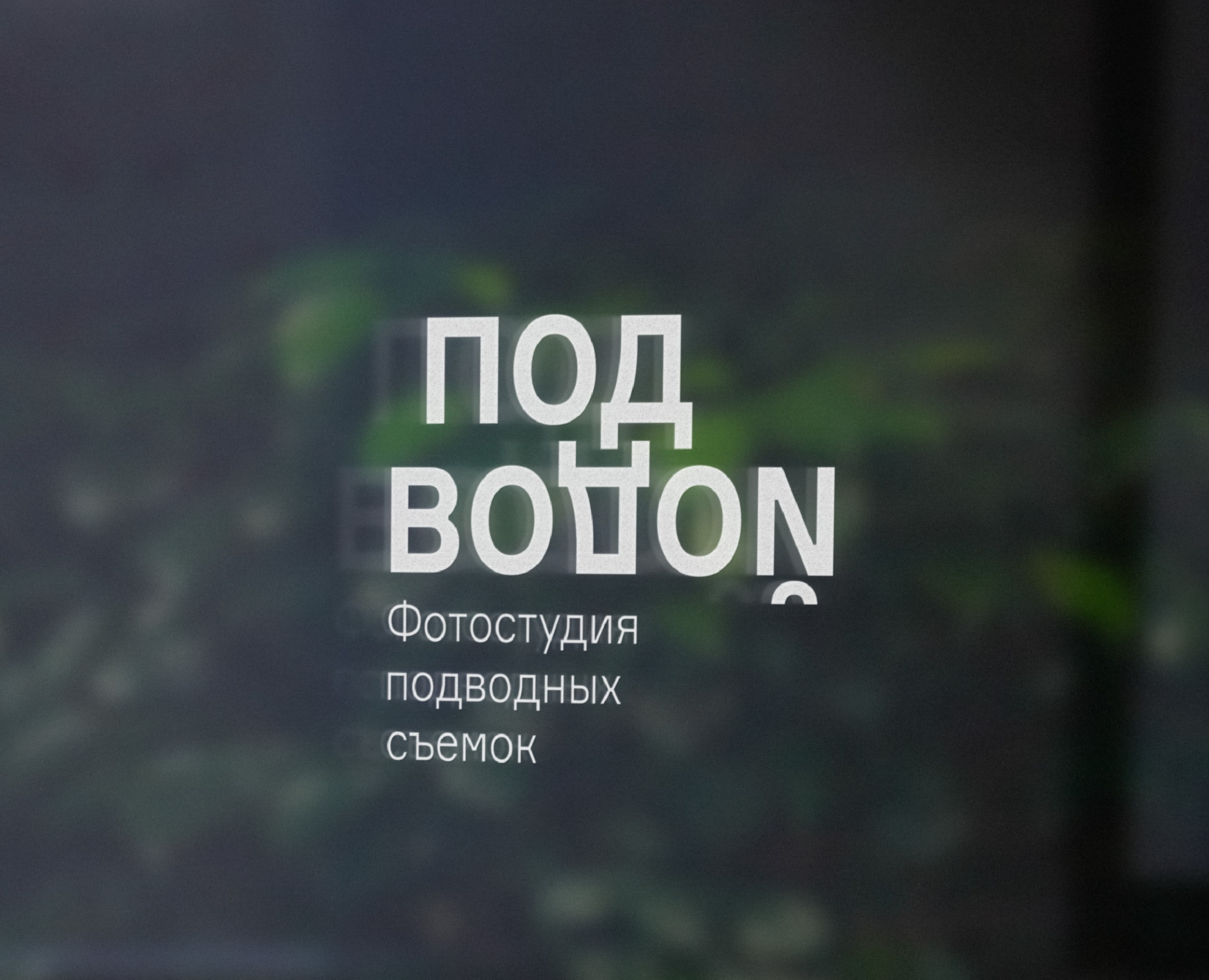 Брендинг фотостудии подводной съёмки "Подводой" на Dprofile