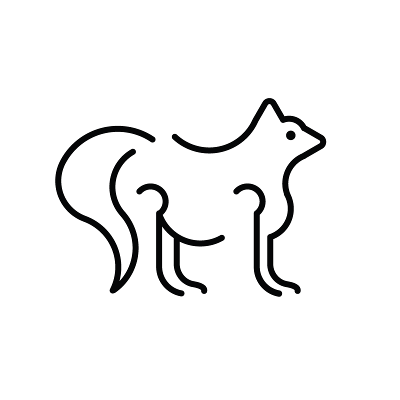 Логолайн "Лиса" — Изображение №1 — Брендинг, Графика на Dprofile