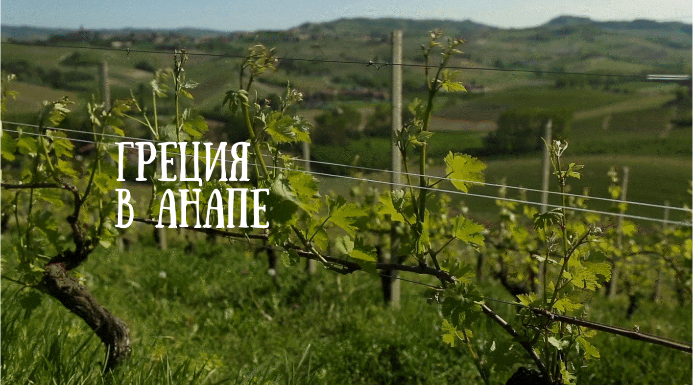 Винное подворье Старого Грека — Изображение №1 — Брендинг на Dprofile