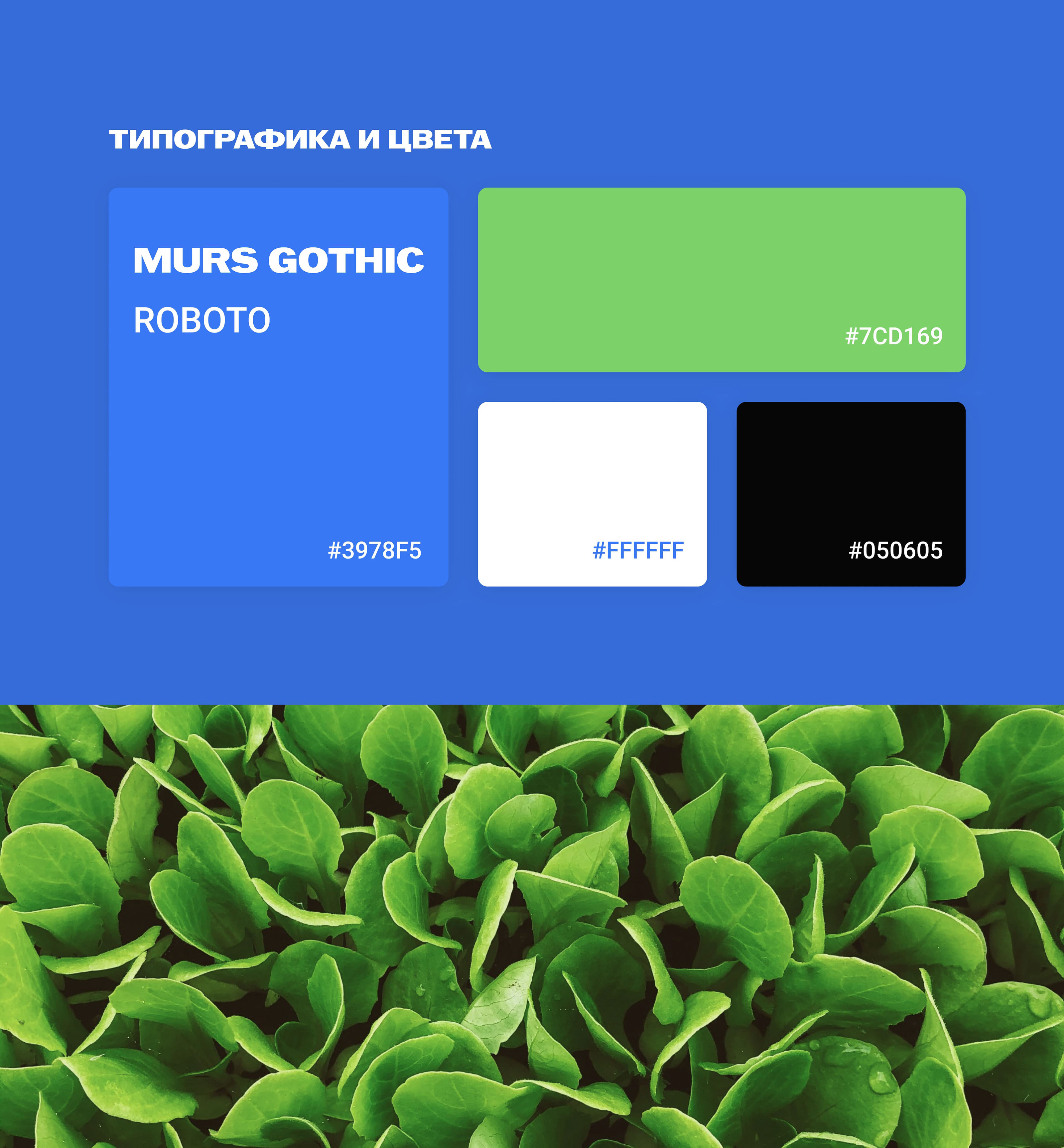 Groc eco farm website — Изображение №5 — Интерфейсы на Dprofile