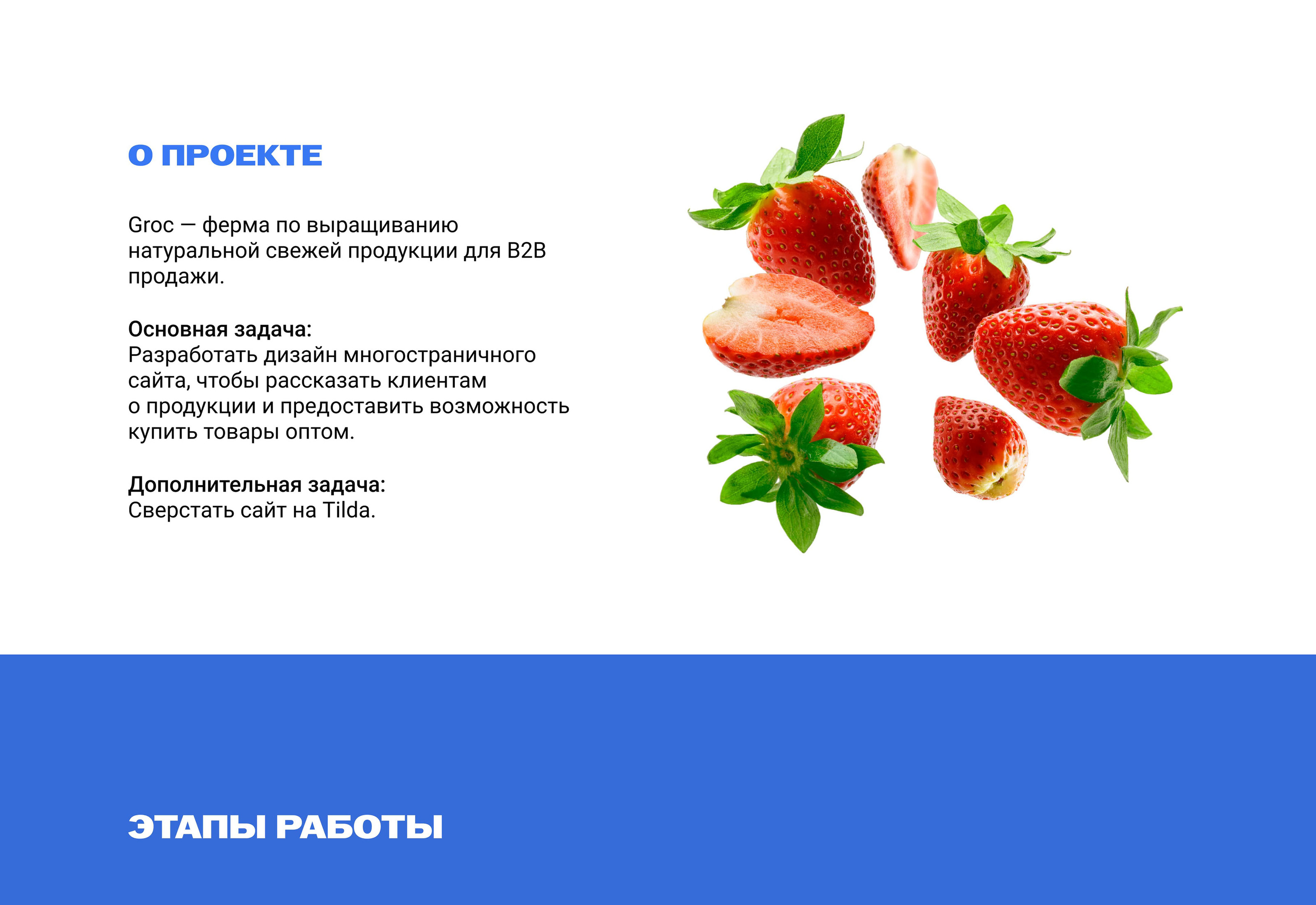 Groc eco farm website — Изображение №1 — Интерфейсы на Dprofile