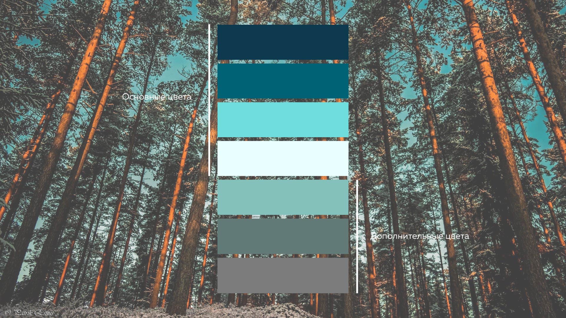 Фирменный стиль фармацевтической компании "Амедарт - Сибирь" — Изображение №4 — Брендинг на Dprofile