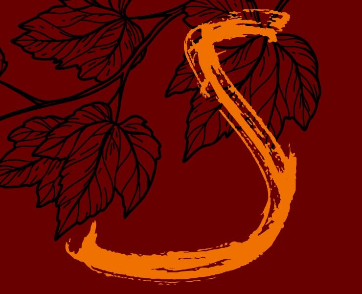 Вино CARISMA — Брендинг на Dprofile