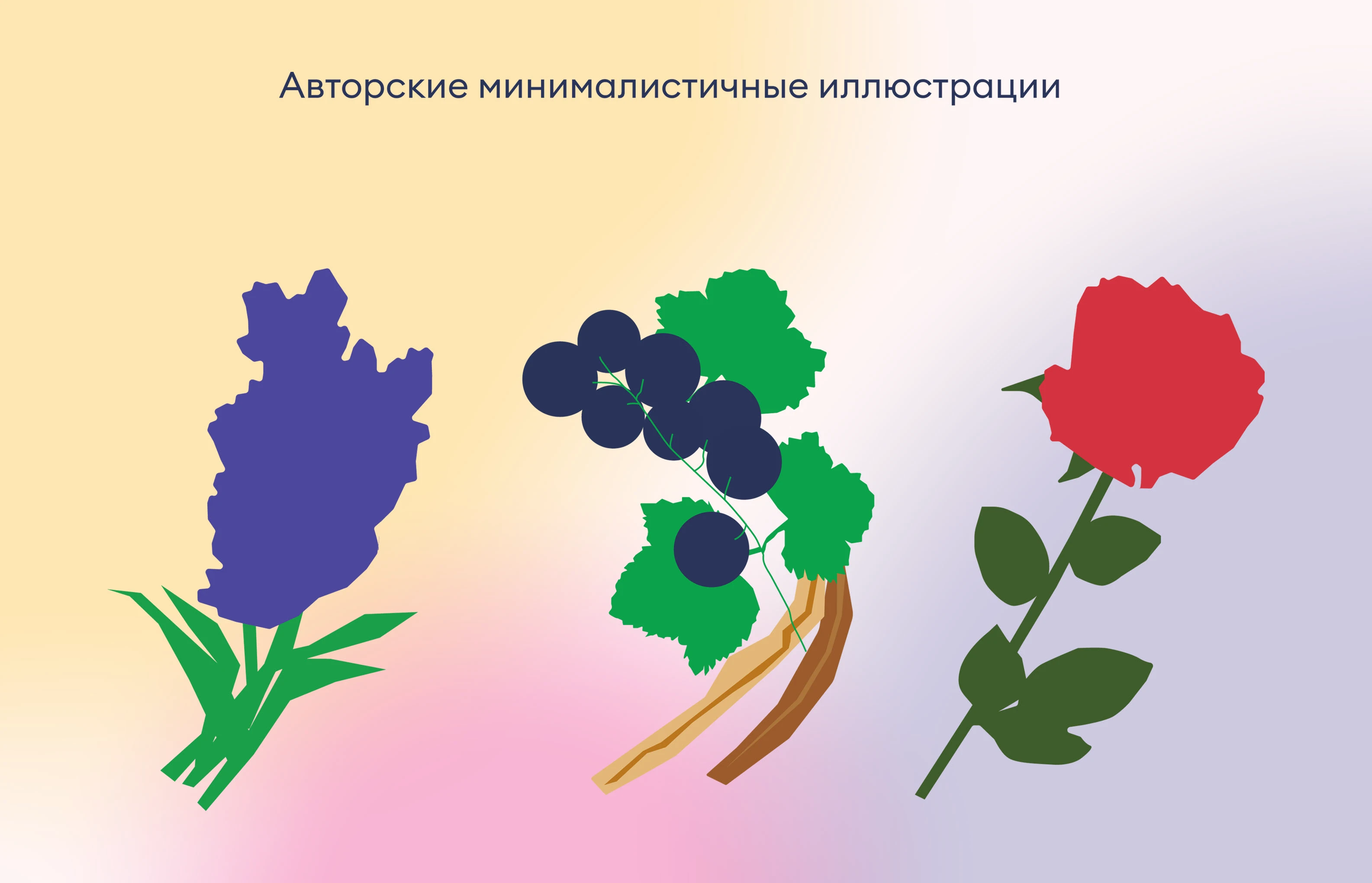 Дизайн-концепт упаковки лимонадов Вкусвилл — Изображение №13 — Брендинг, Иллюстрация на Dprofile