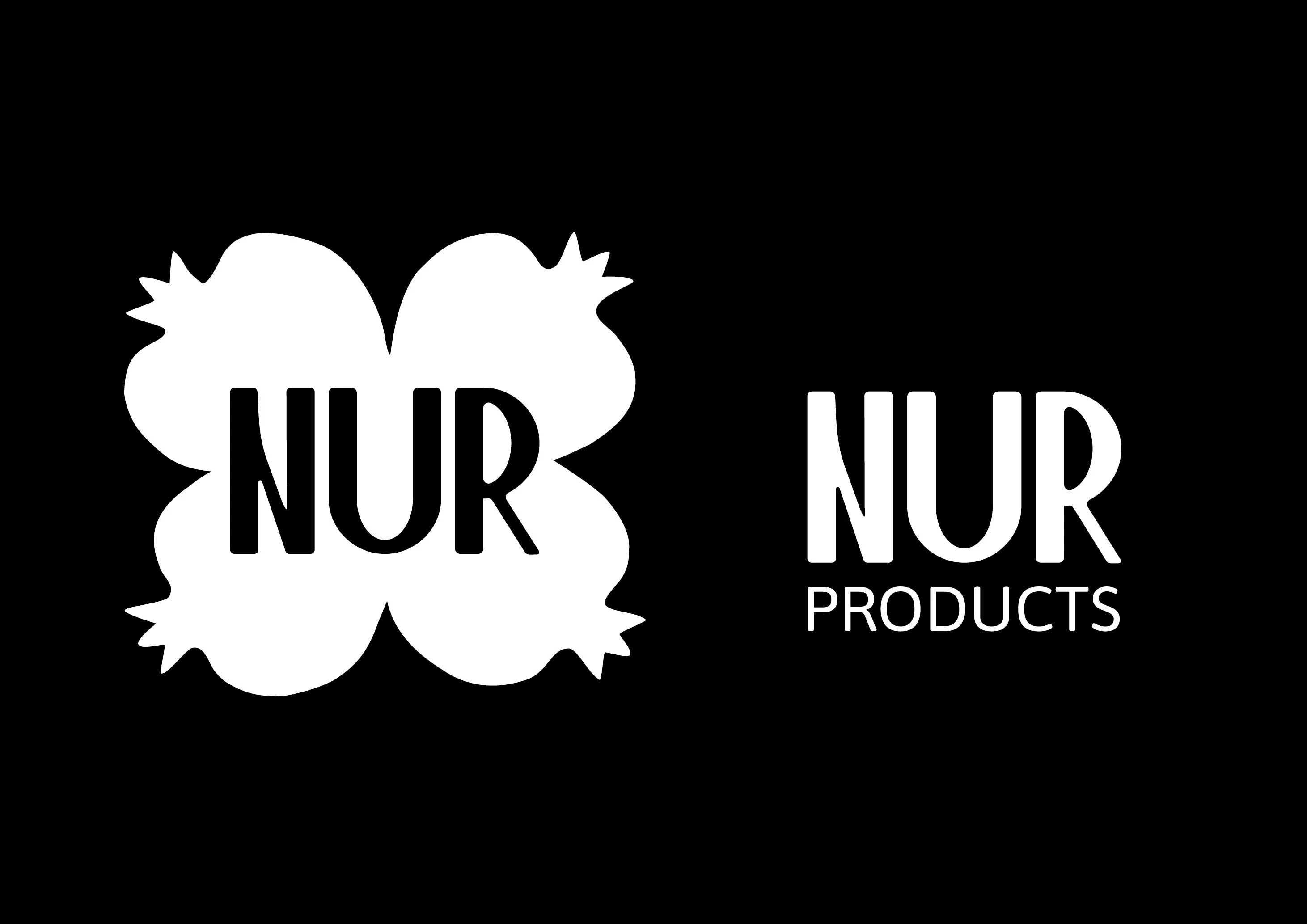 Айдентика для бренда продуктов из граната NUR — Изображение №3 — Брендинг, Графика на Dprofile