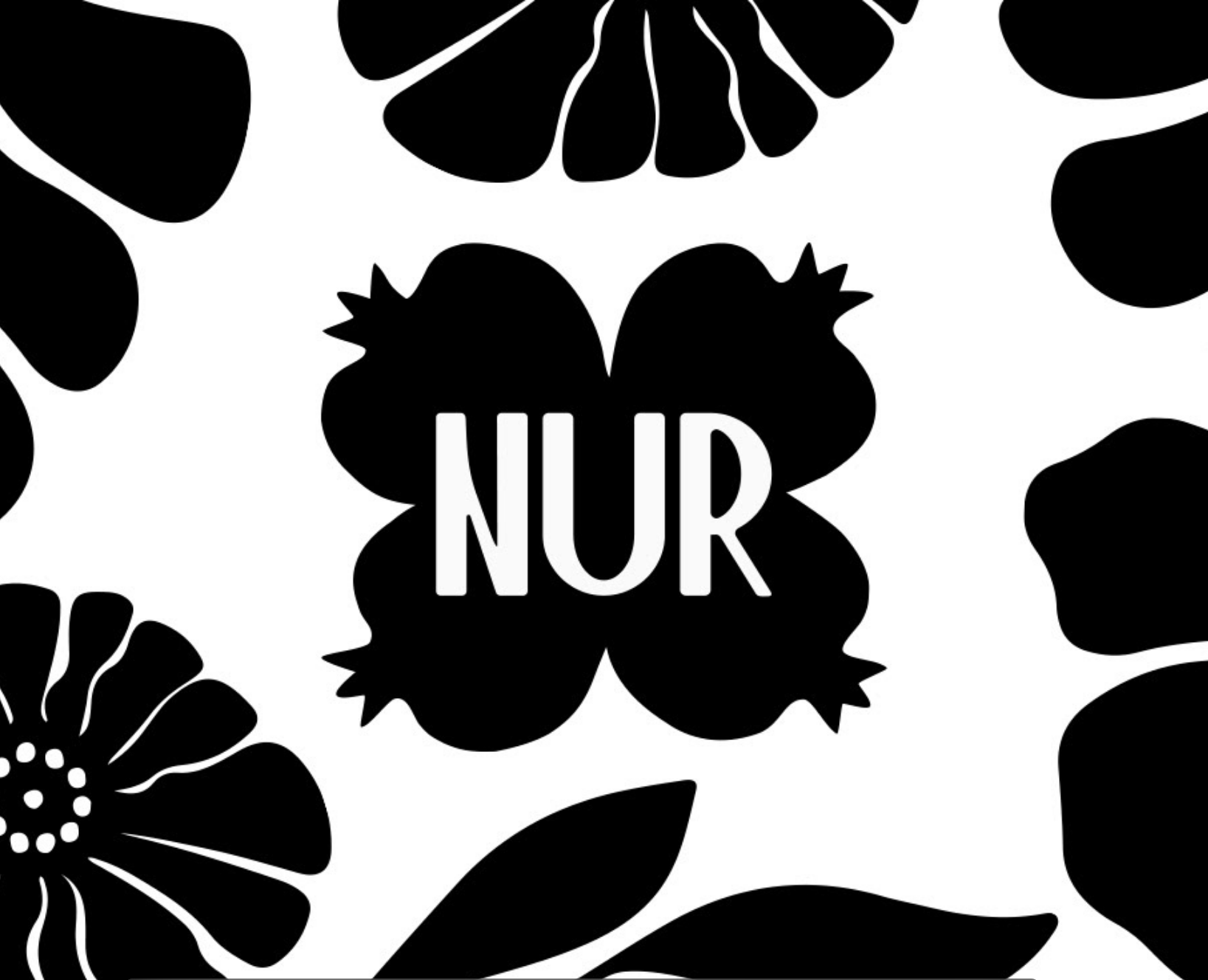 Айдентика для бренда продуктов из граната NUR — Брендинг, Графика на Dprofile