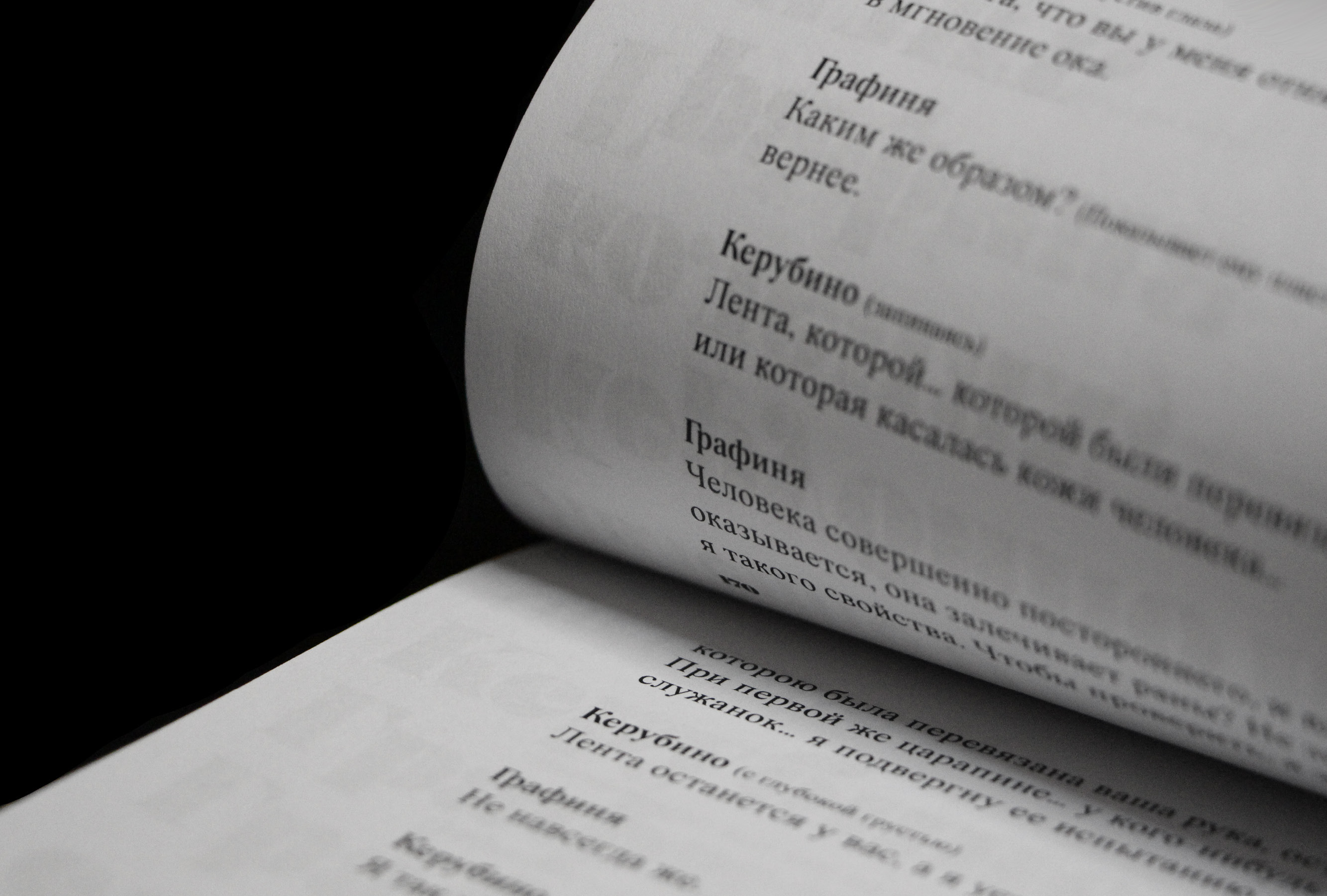 Переиздание книги "Безумный день, или Женитьба Фигаро" — Изображение №11 — Графика на Dprofile