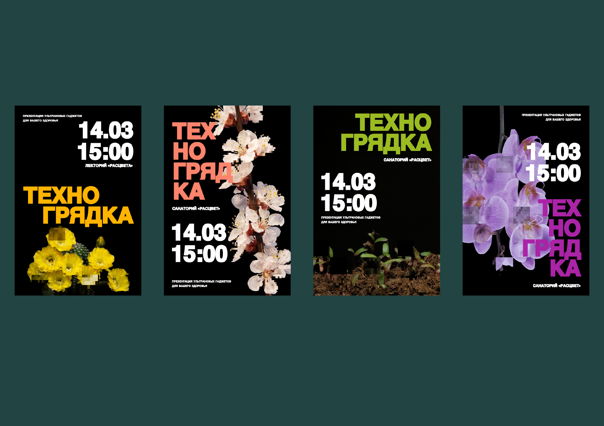 Постеры для Расцвета — Изображение №12 — Брендинг, Графика на Dprofile