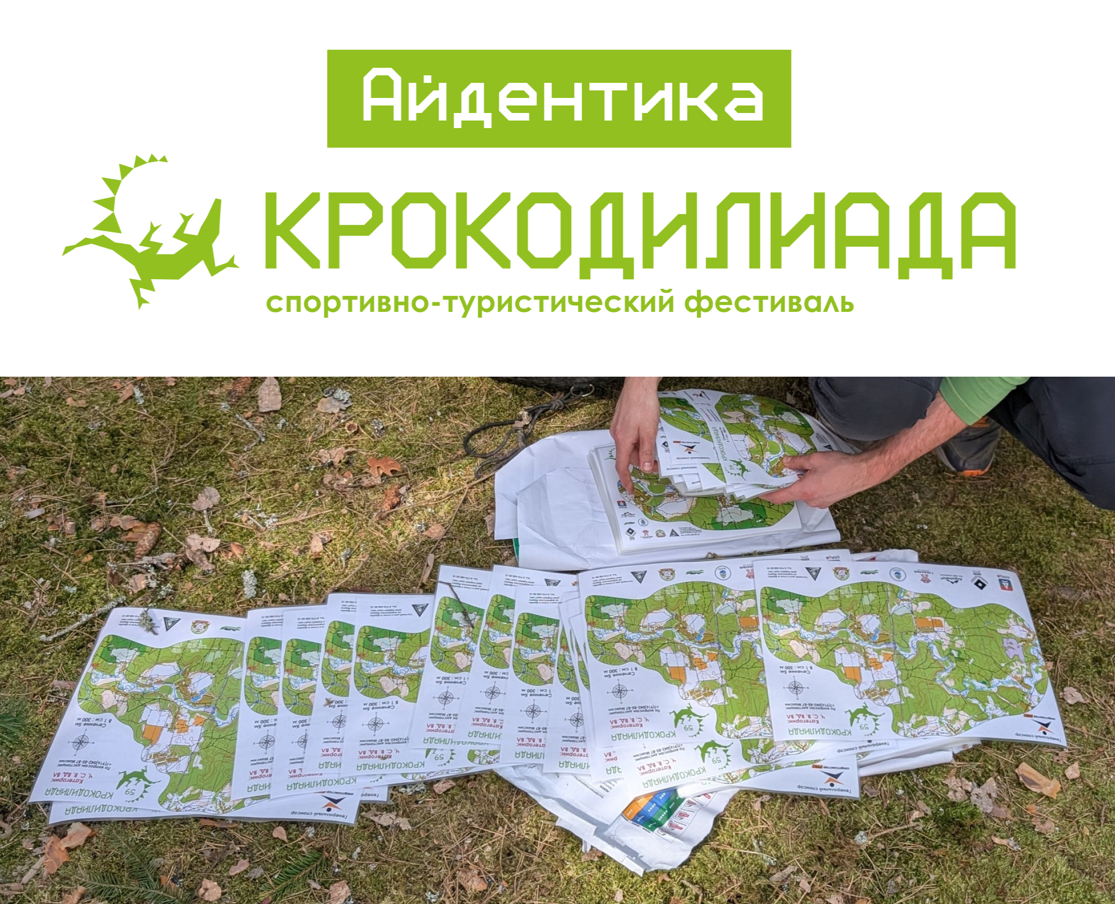 Айдентика Крокодилиада — Брендинг, Графика на Dprofile