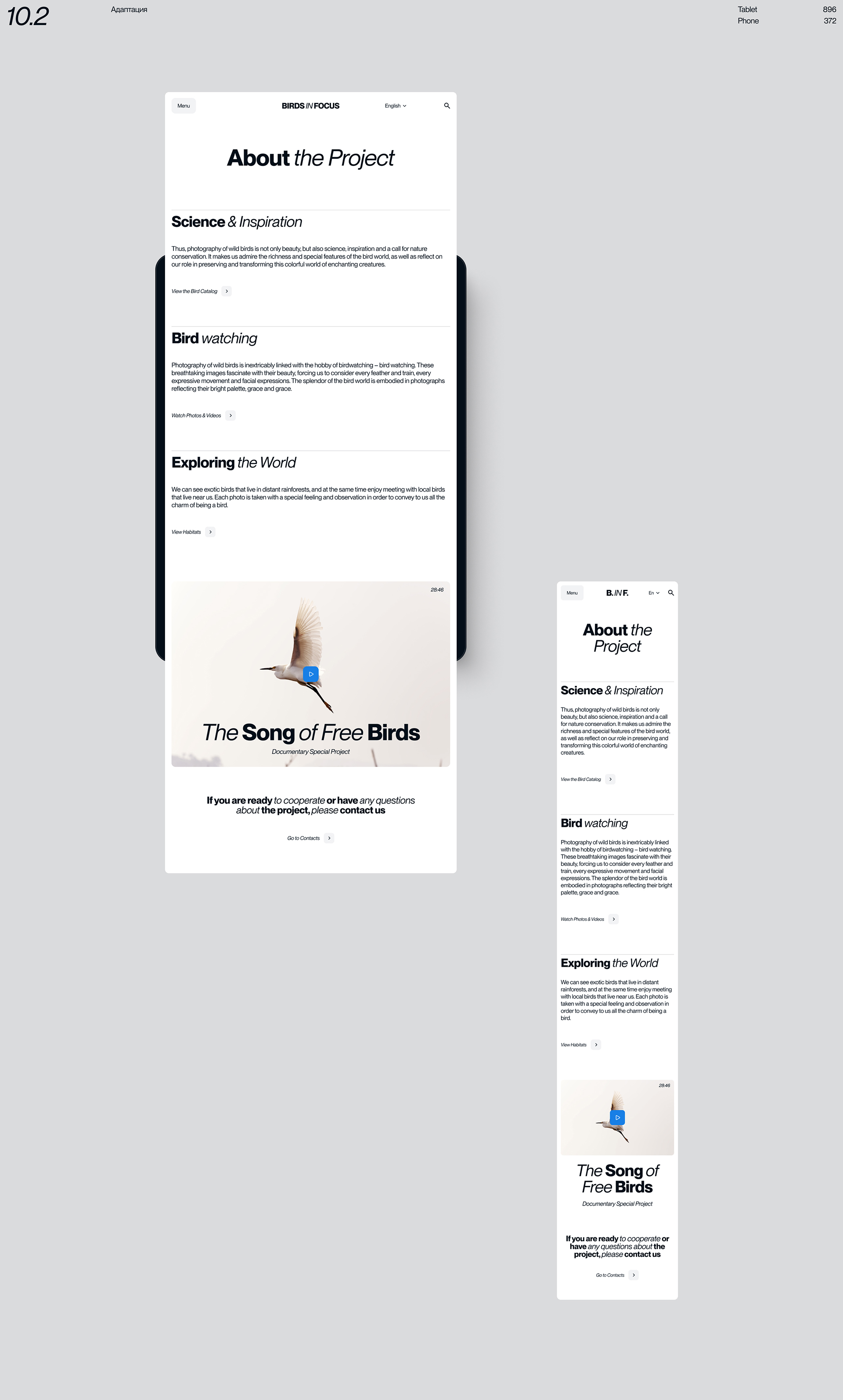Birds in Focus — Изображение №22 — Интерфейсы на Dprofile
