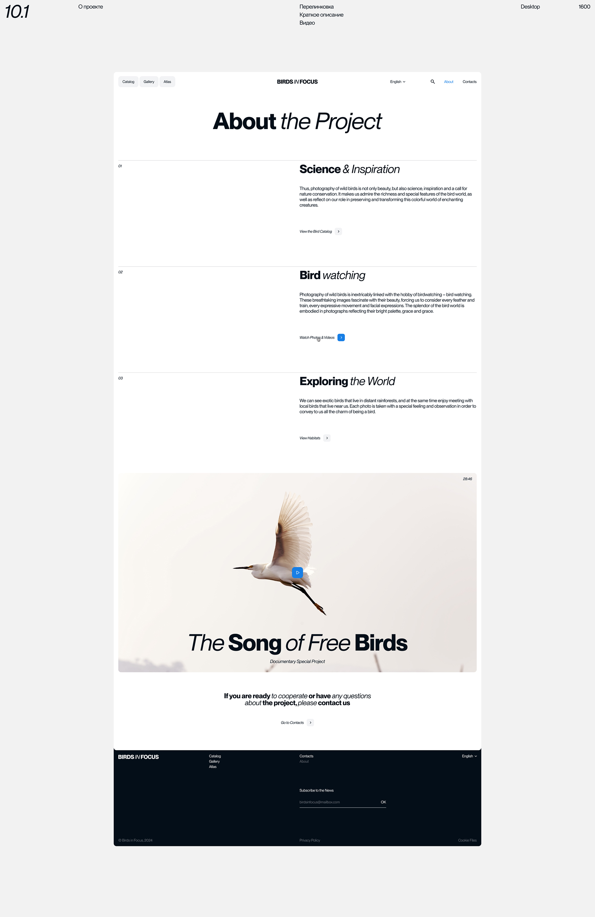 Birds in Focus — Изображение №21 — Интерфейсы на Dprofile