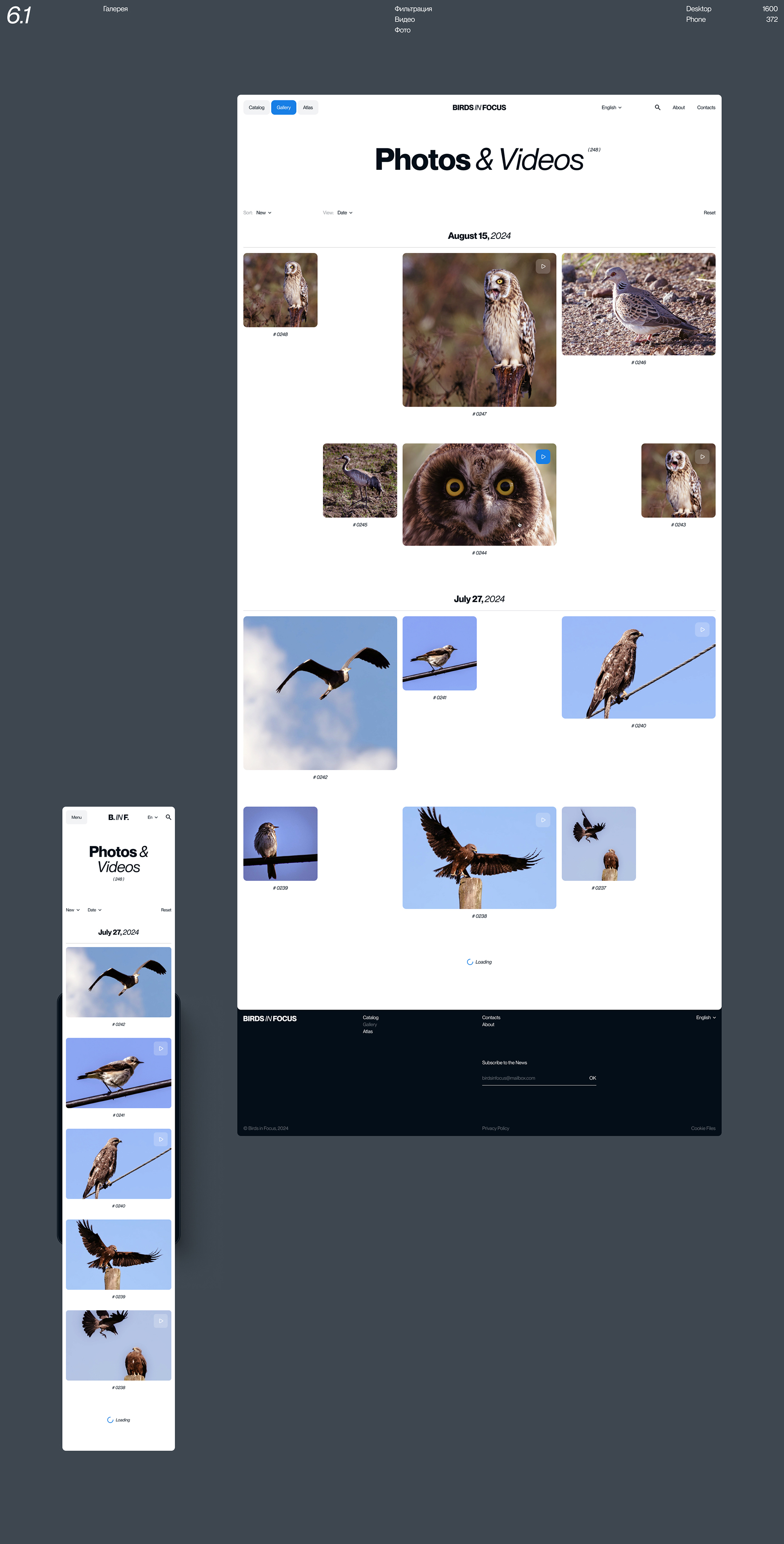 Birds in Focus — Изображение №12 — Интерфейсы на Dprofile