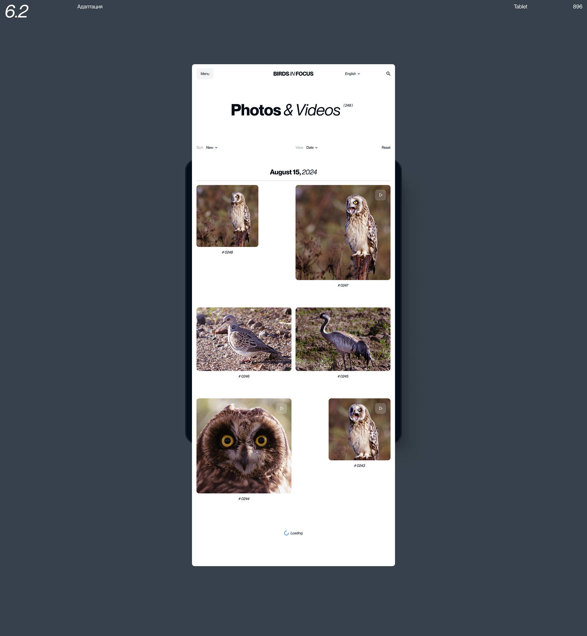 Birds in Focus — Изображение №13 — Интерфейсы на Dprofile