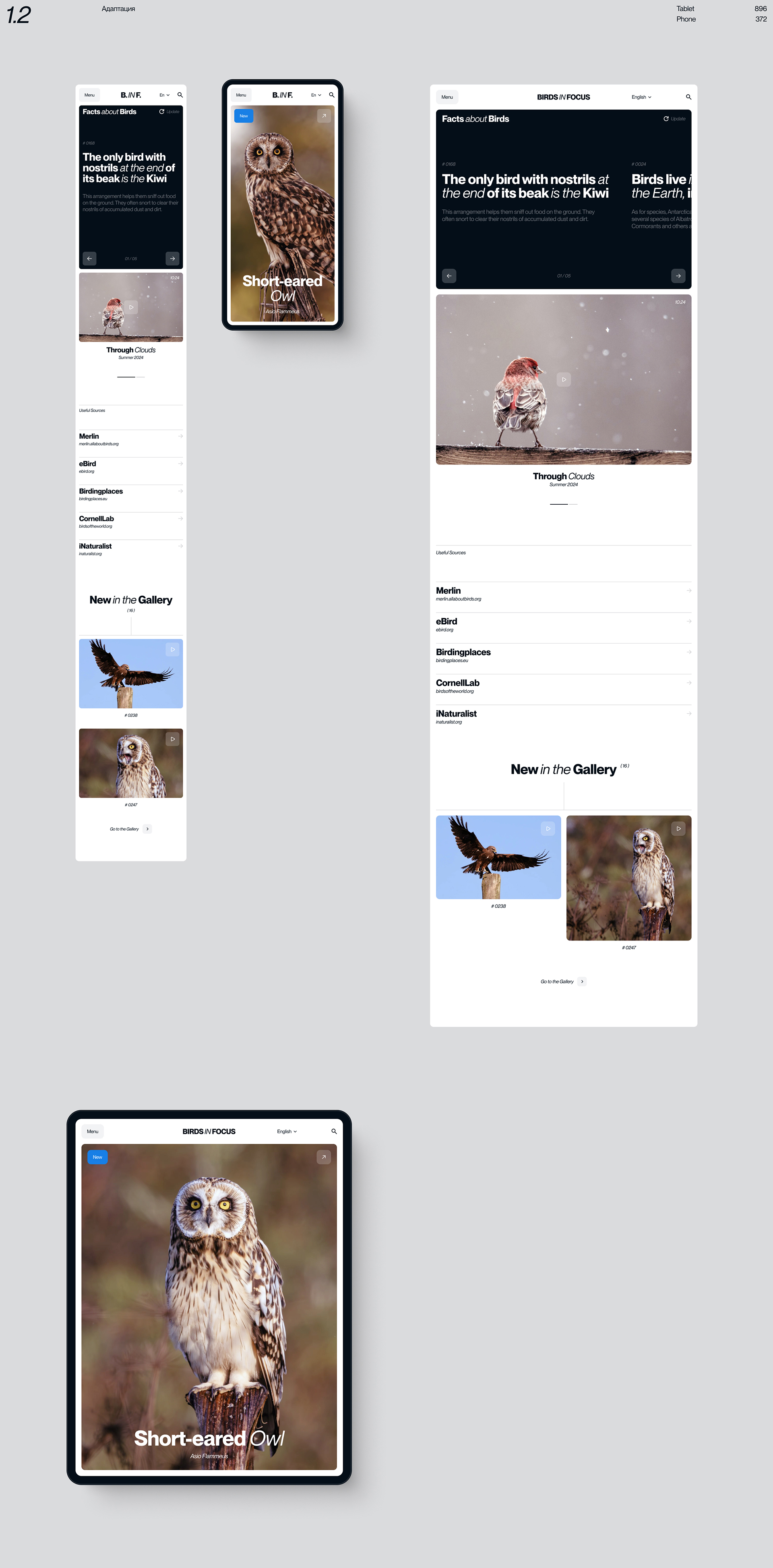 Birds in Focus — Изображение №4 — Интерфейсы на Dprofile
