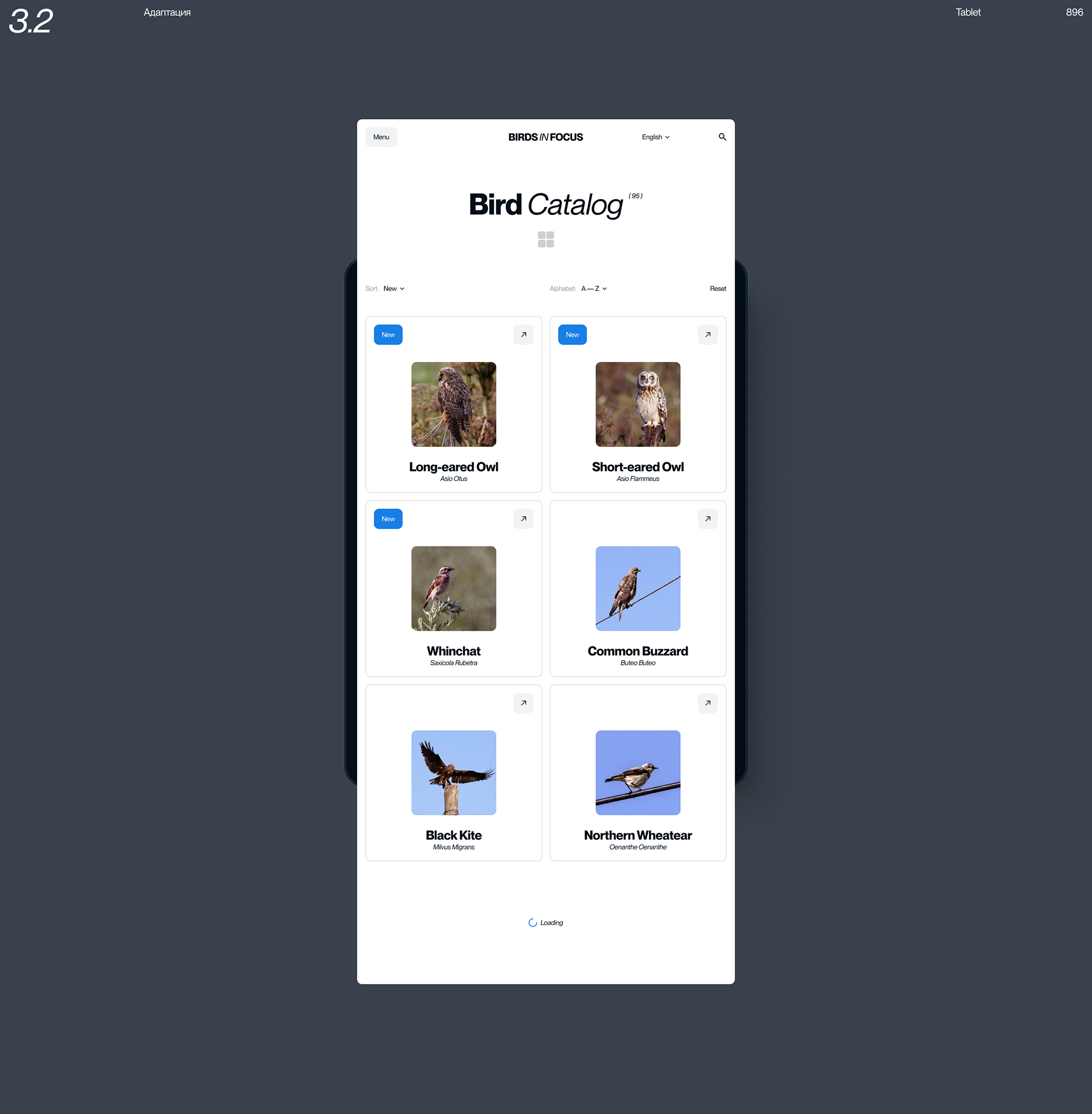 Birds in Focus — Изображение №7 — Интерфейсы на Dprofile