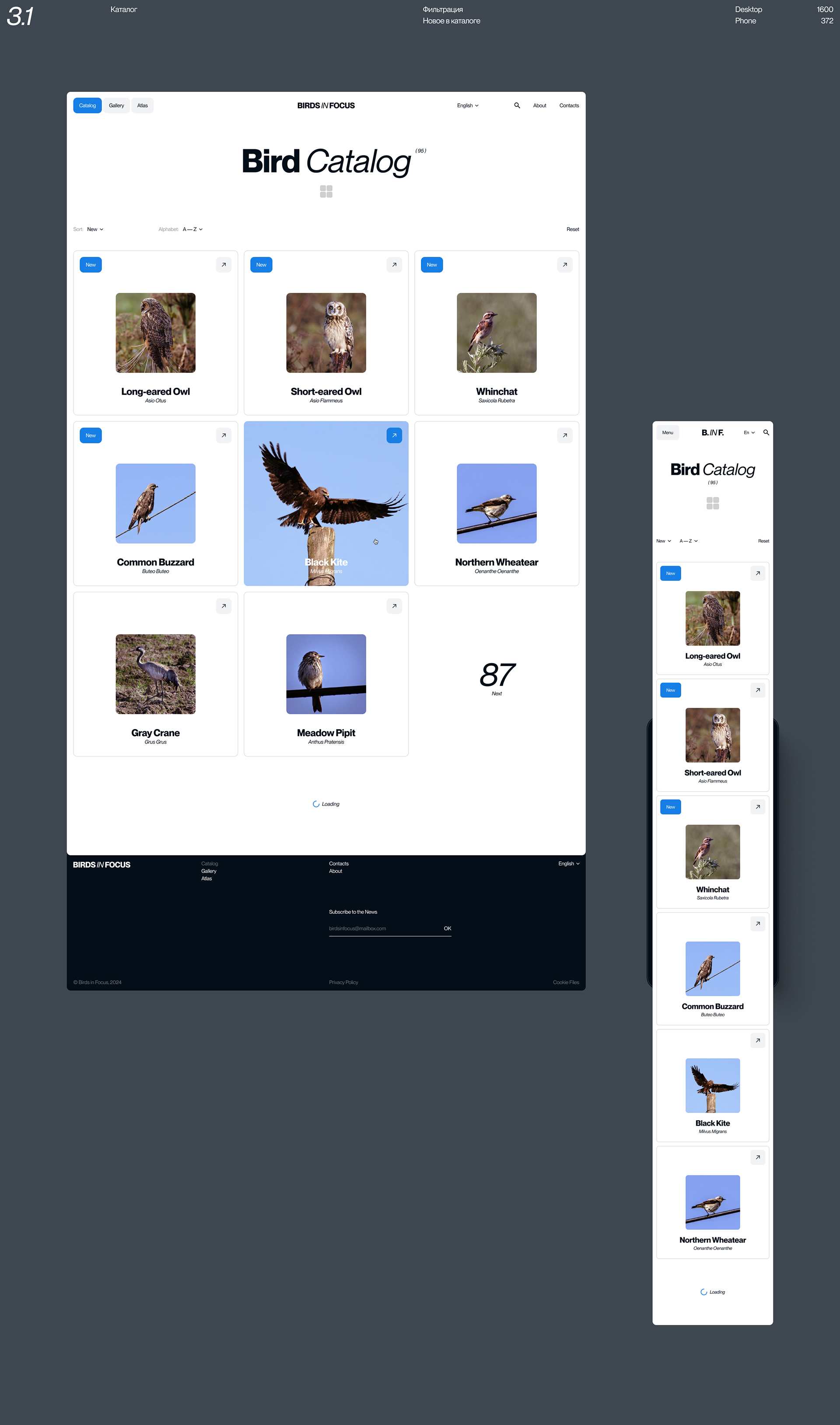Birds in Focus — Изображение №6 — Интерфейсы на Dprofile