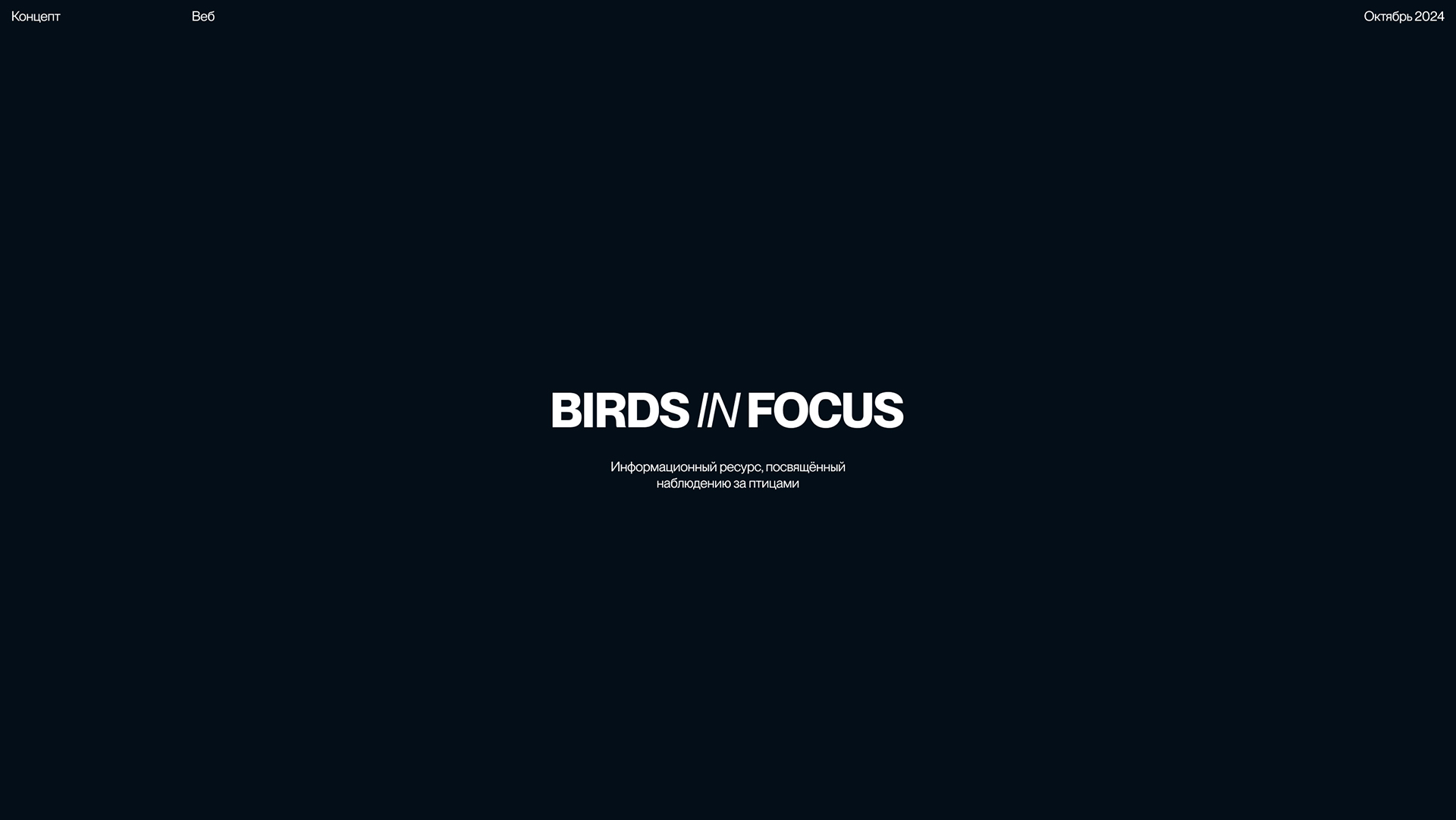 Birds in Focus — Изображение №1 — Интерфейсы на Dprofile
