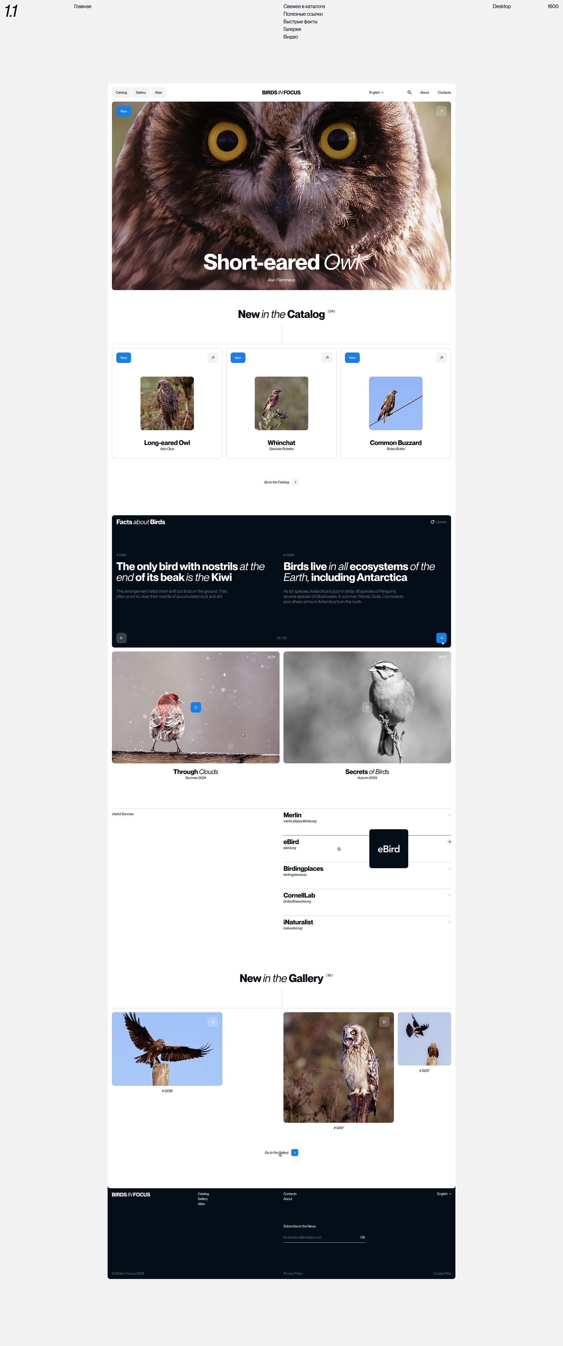 Birds in Focus — Изображение №3 — Интерфейсы на Dprofile