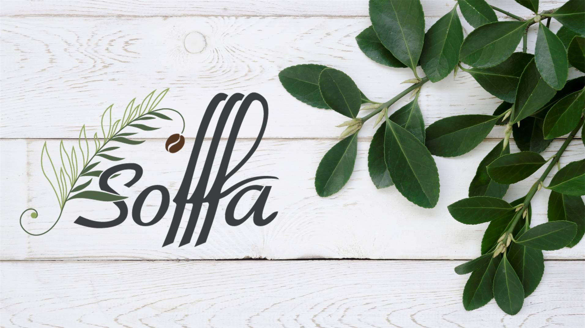 Логотип и фирменный стиль кофейни Sofffa — Изображение №1 — Брендинг на Dprofile