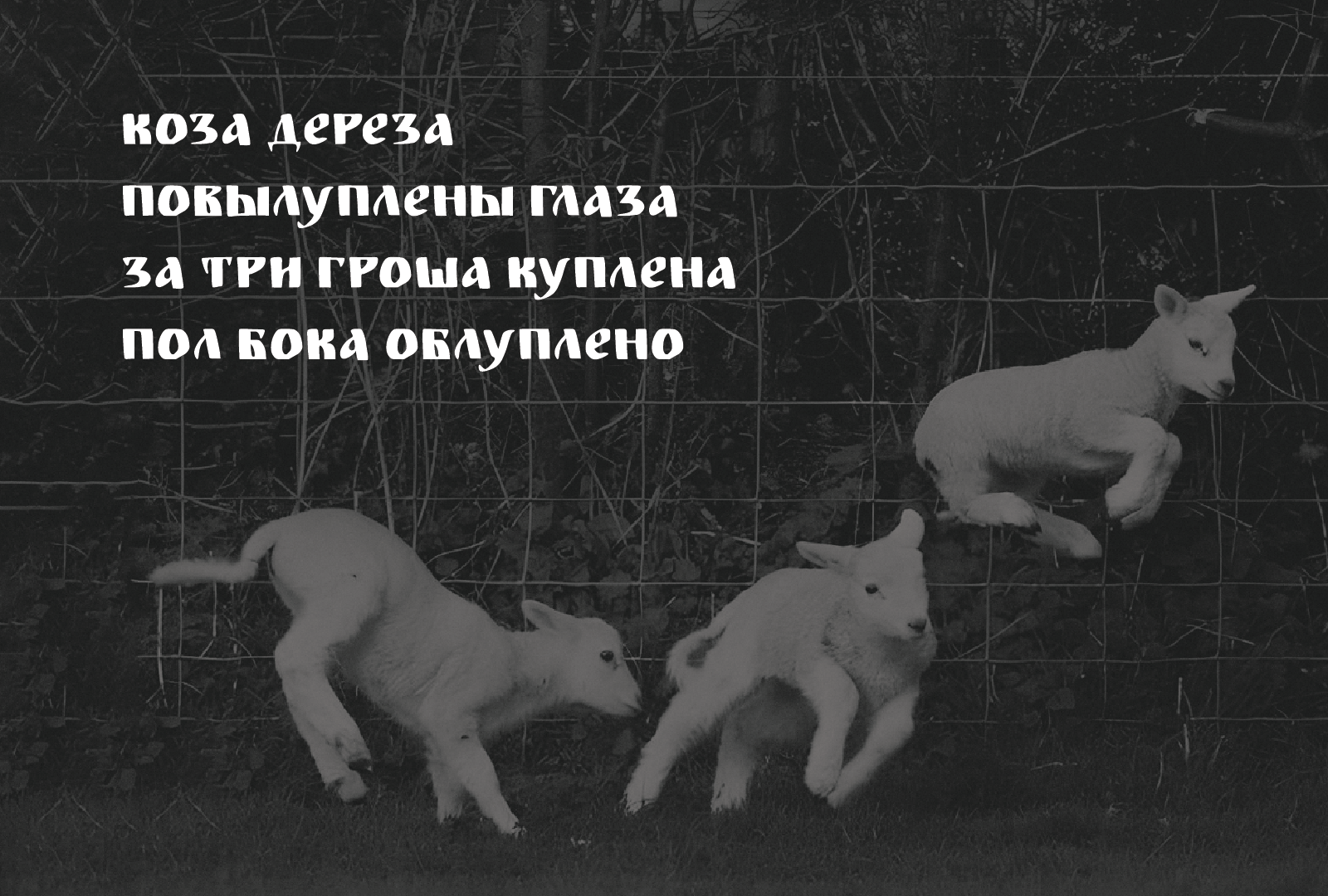 Дереза — Изображение №6 — Графика на Dprofile