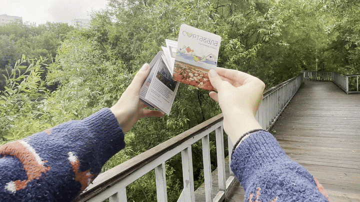 город Сортавала — Изображение №12 — Брендинг на Dprofile