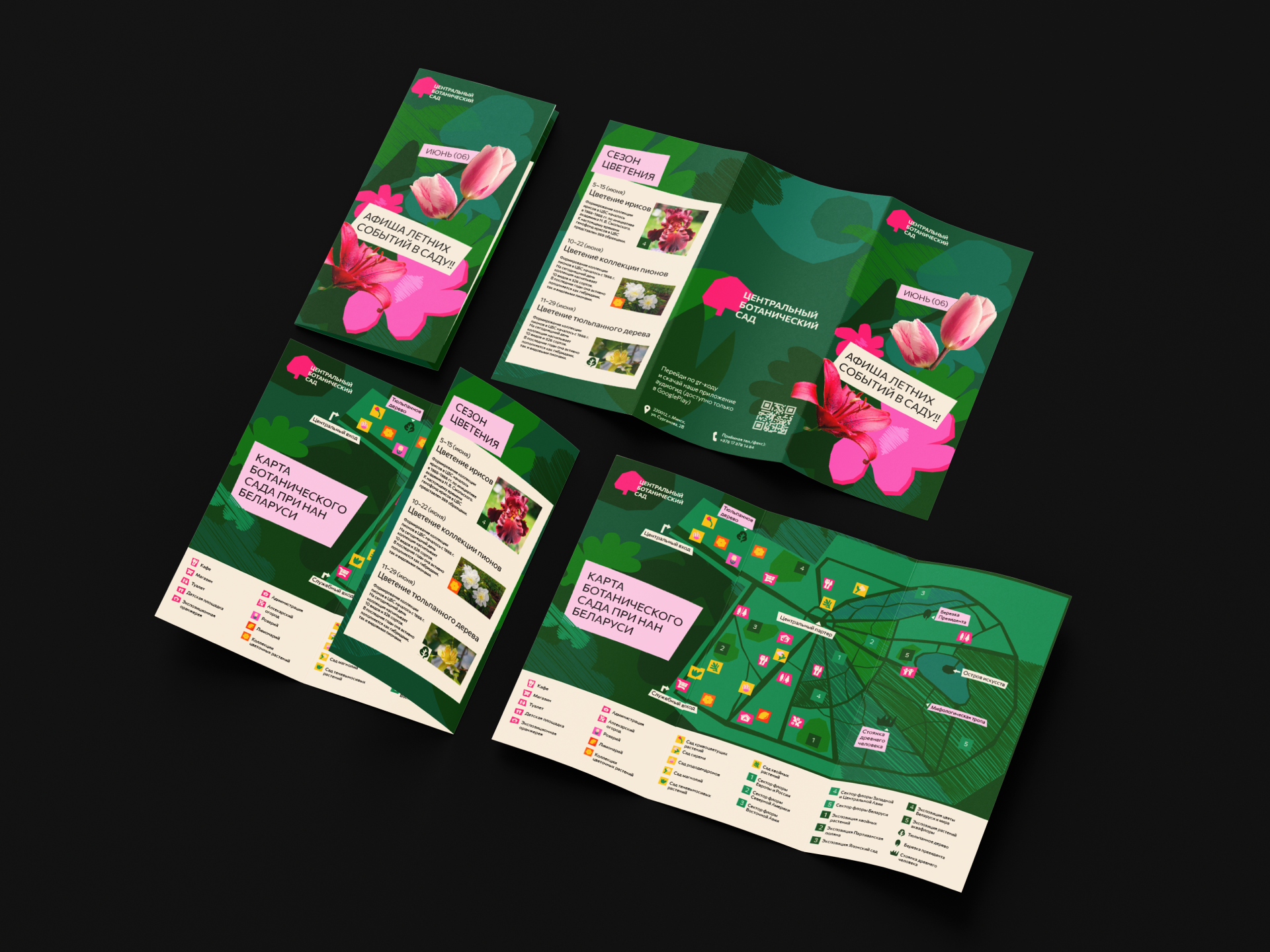 Центральный ботанический сад Минска — Изображение №14 — Брендинг на Dprofile