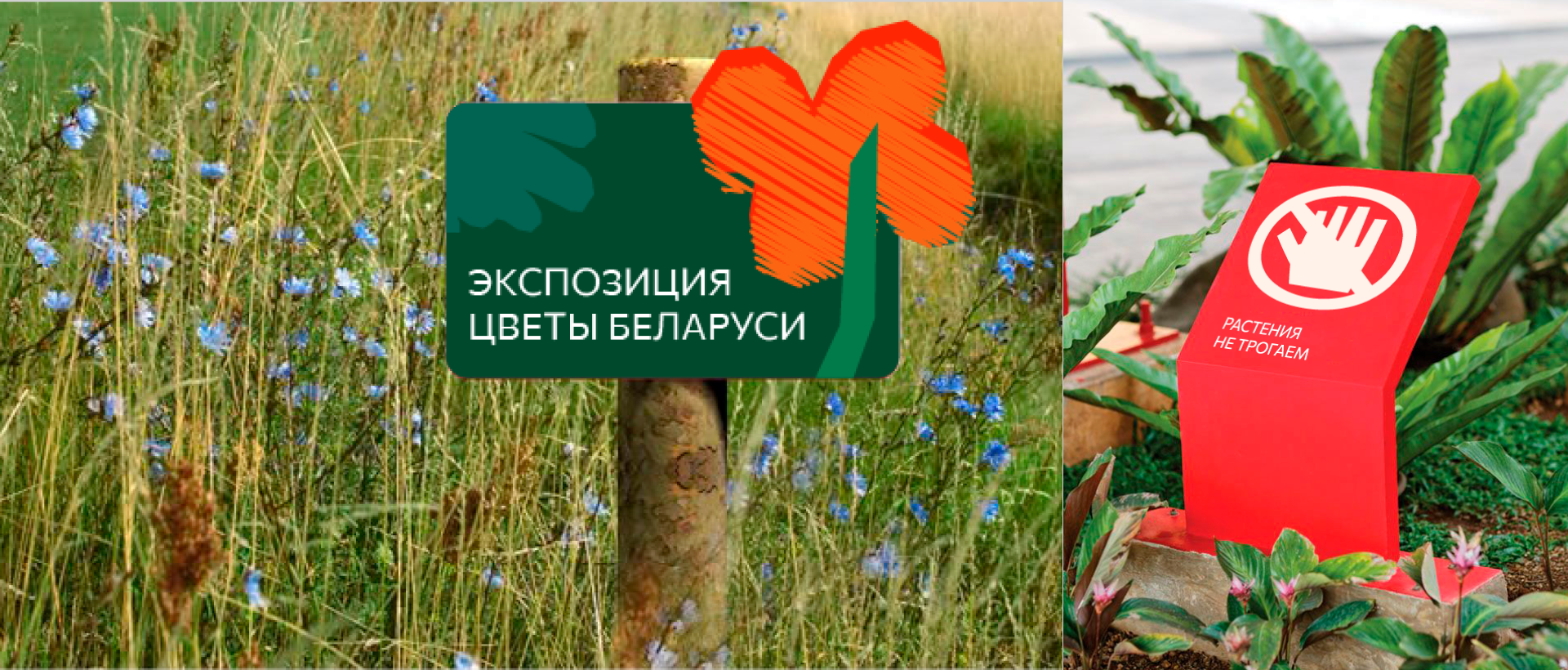 Центральный ботанический сад Минска — Изображение №24 — Брендинг на Dprofile