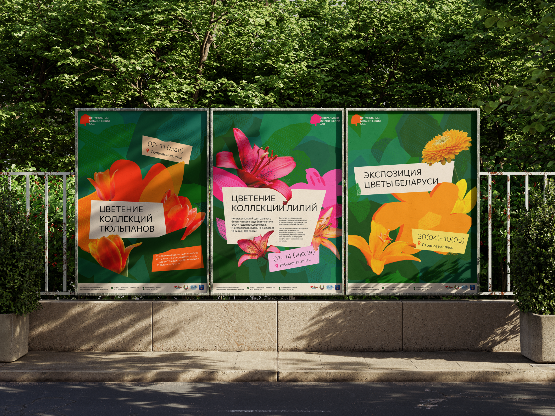 Центральный ботанический сад Минска — Изображение №5 — Брендинг на Dprofile