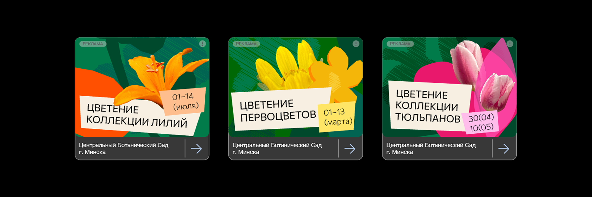 Центральный ботанический сад Минска — Изображение №32 — Брендинг на Dprofile