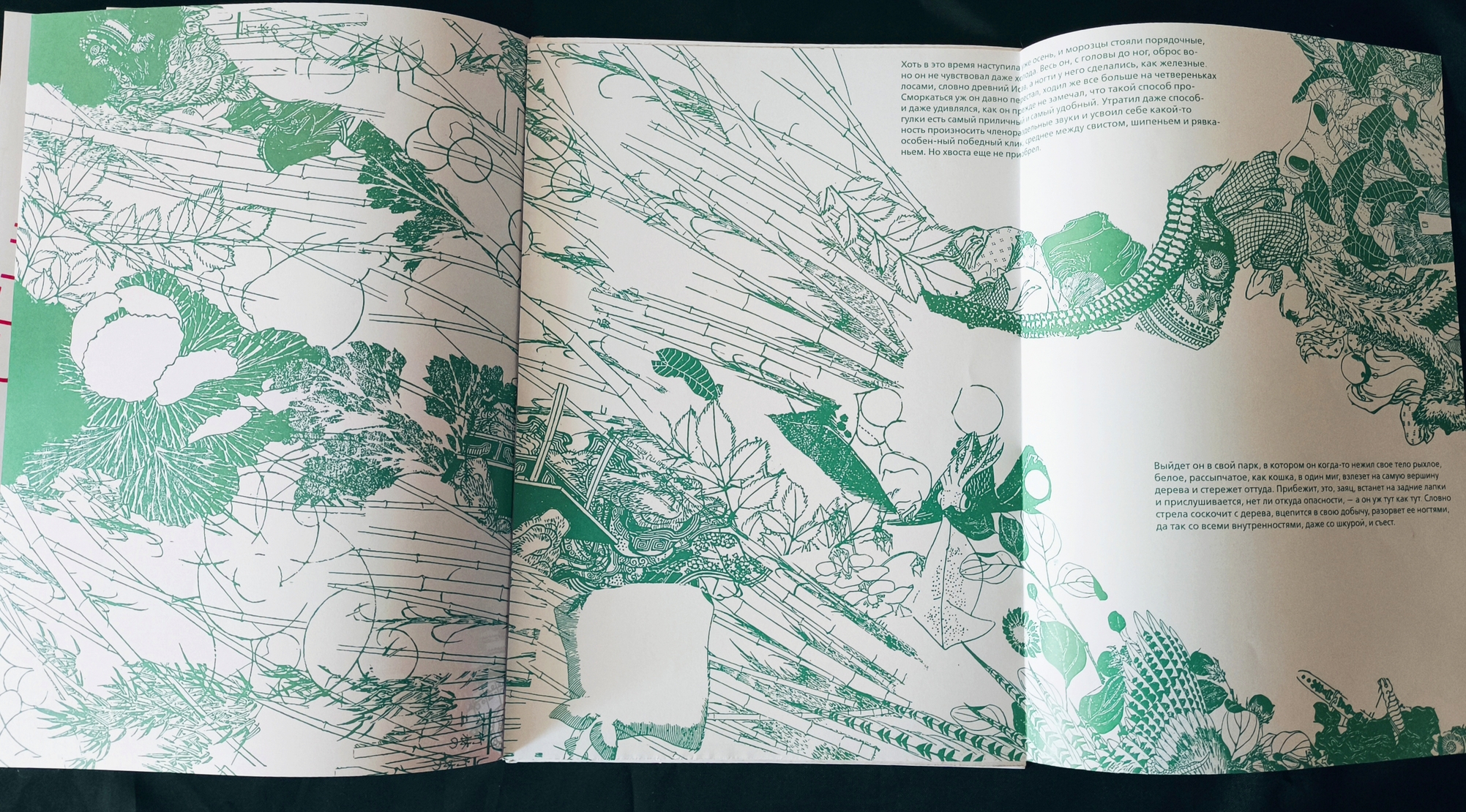 Елизавета Фалилеева 231-812 Коспозиционное проектирование — Изображение №35 — Графика на Dprofile