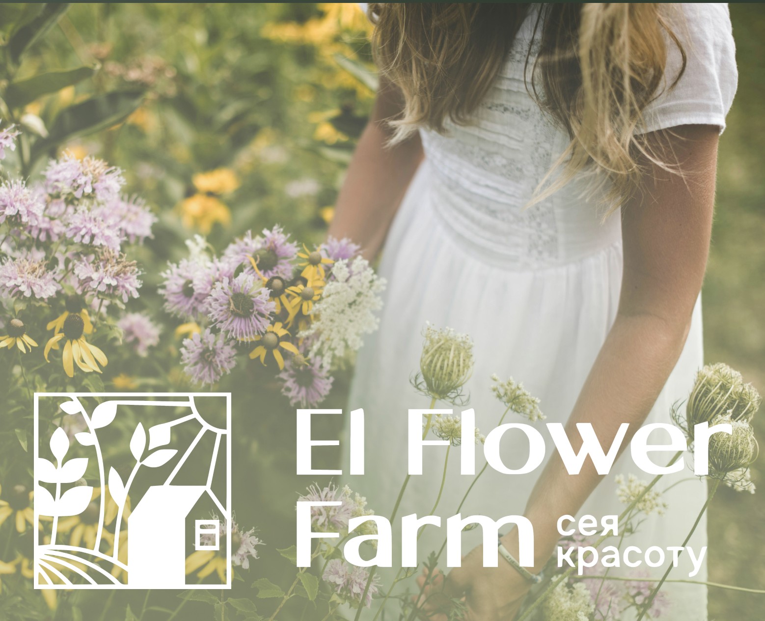 Баннеры для El Flower Farm| Social media — Маркетинг на Dprofile