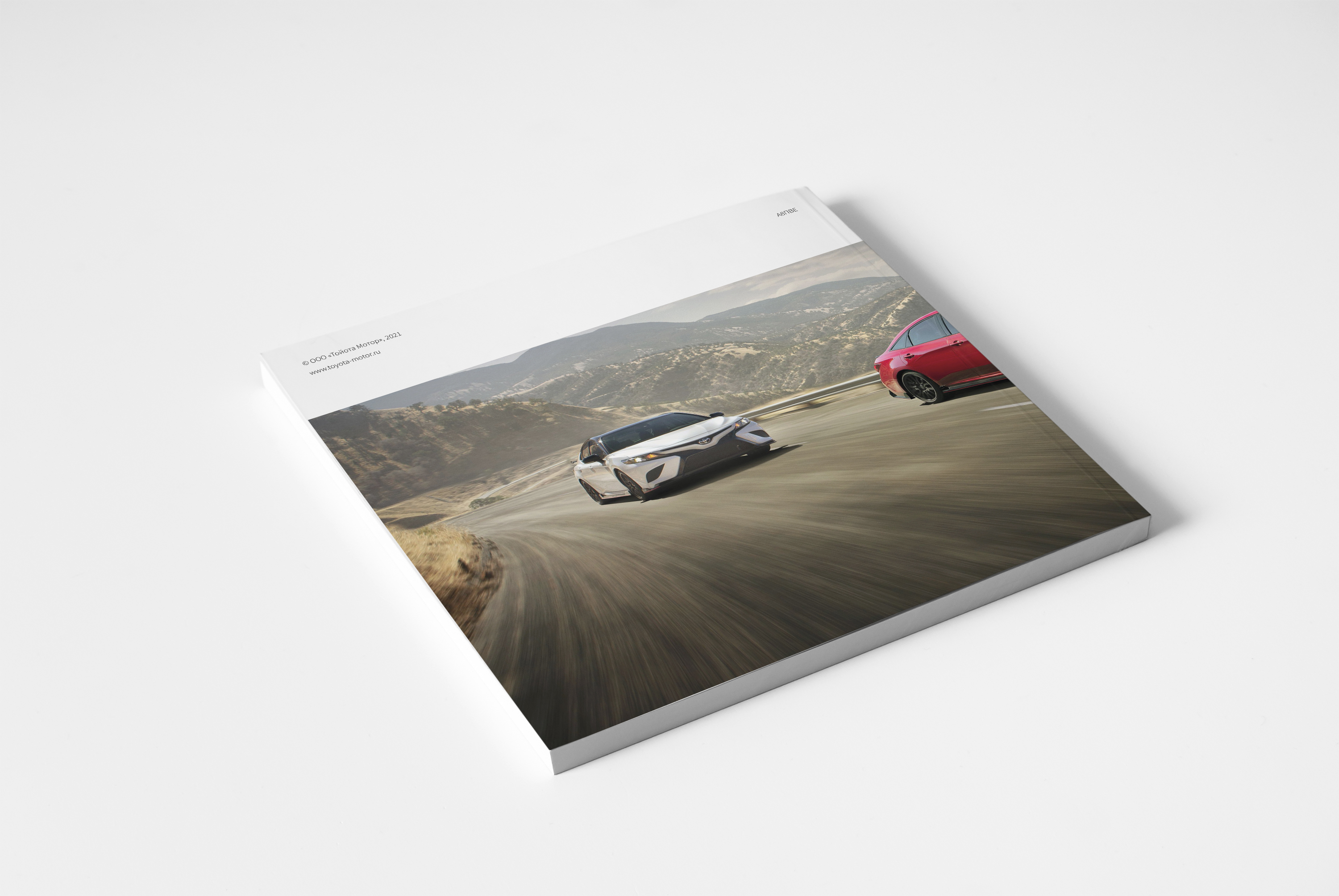 Каталог — Изображение №10 — Графика на Dprofile