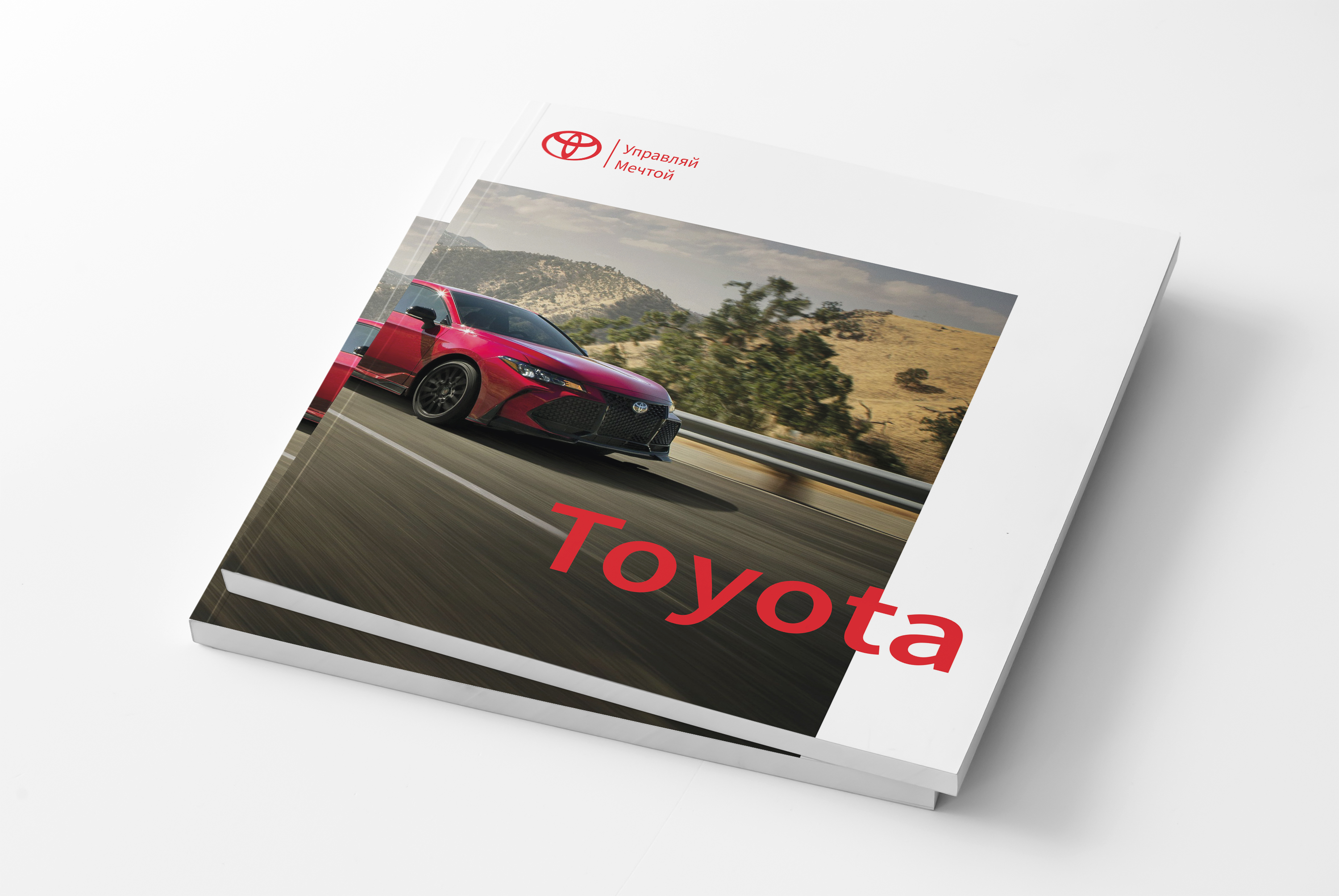 Каталог — Изображение №1 — Графика на Dprofile