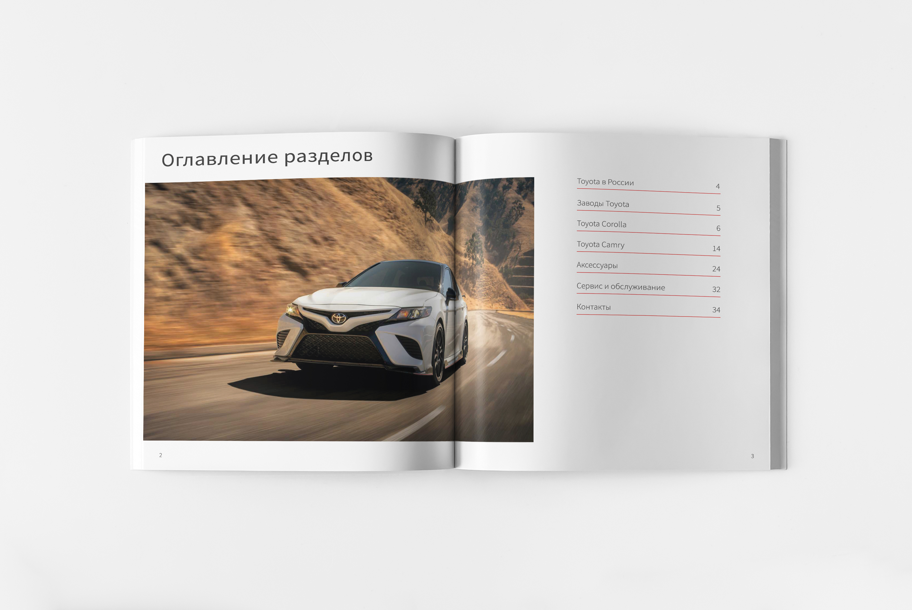 Каталог — Изображение №2 — Графика на Dprofile