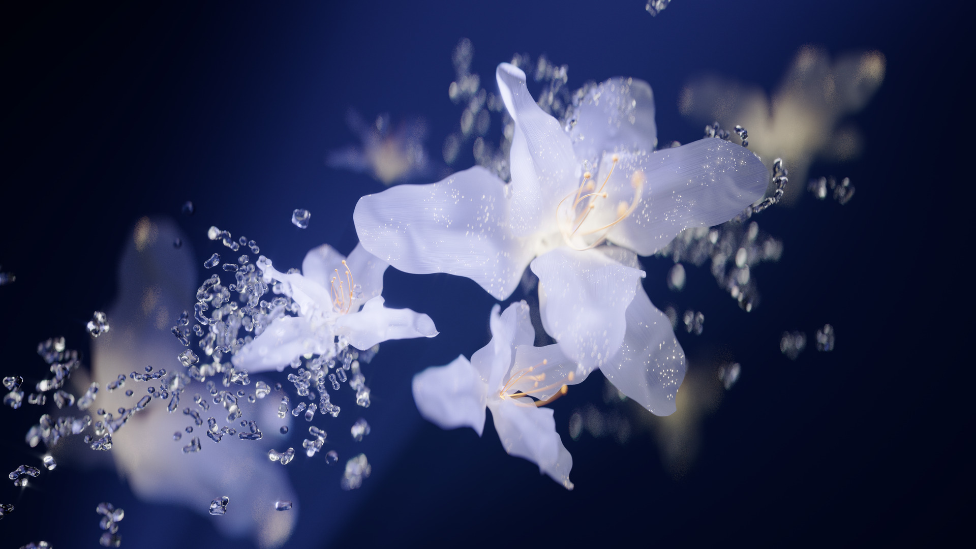 Beauty Showreel 2025 — Изображение №2 — 3D, Анимация на Dprofile