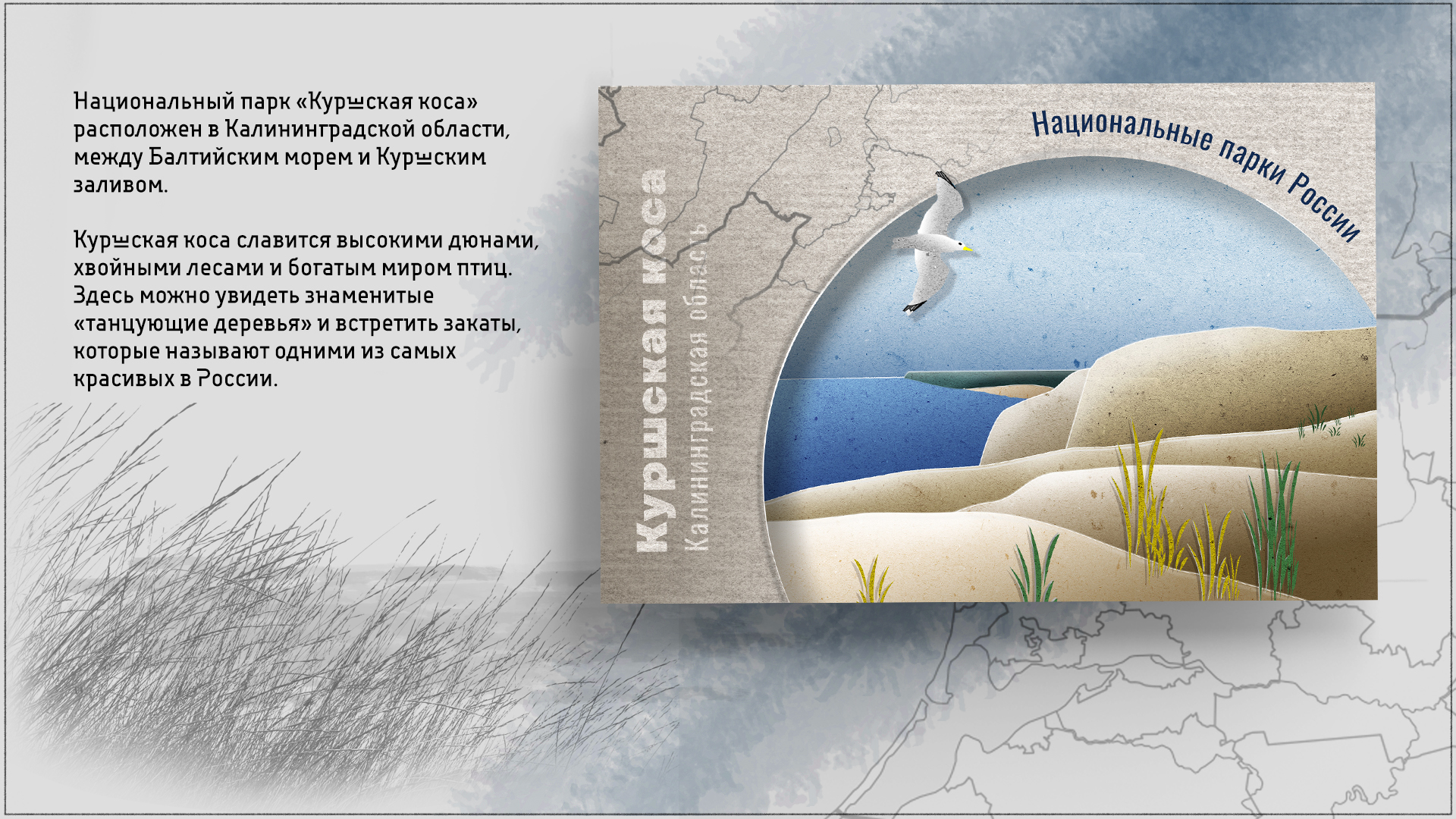 Набор открыток "Национальные парки России" — Изображение №2 — Графика на Dprofile