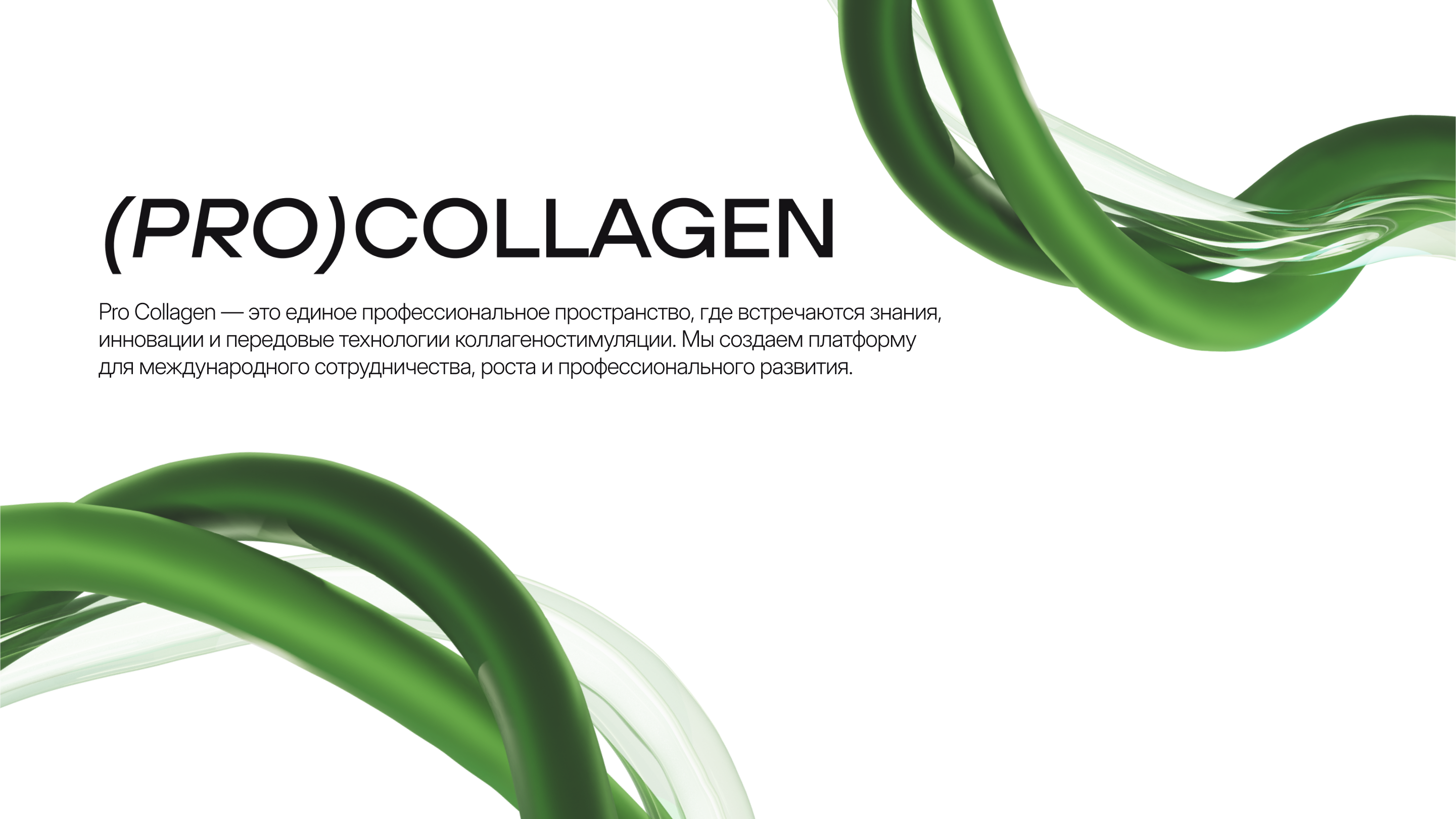 PRO COLLAGEN | АЙДЕНТИКА | ФИРМЕННЫЙ СТИЛЬ — Изображение №1 — Брендинг на Dprofile