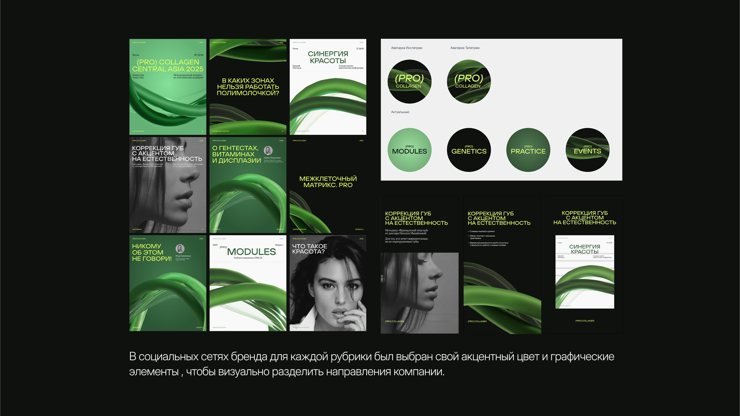 PRO COLLAGEN | АЙДЕНТИКА | ФИРМЕННЫЙ СТИЛЬ — Изображение №6 — Брендинг на Dprofile