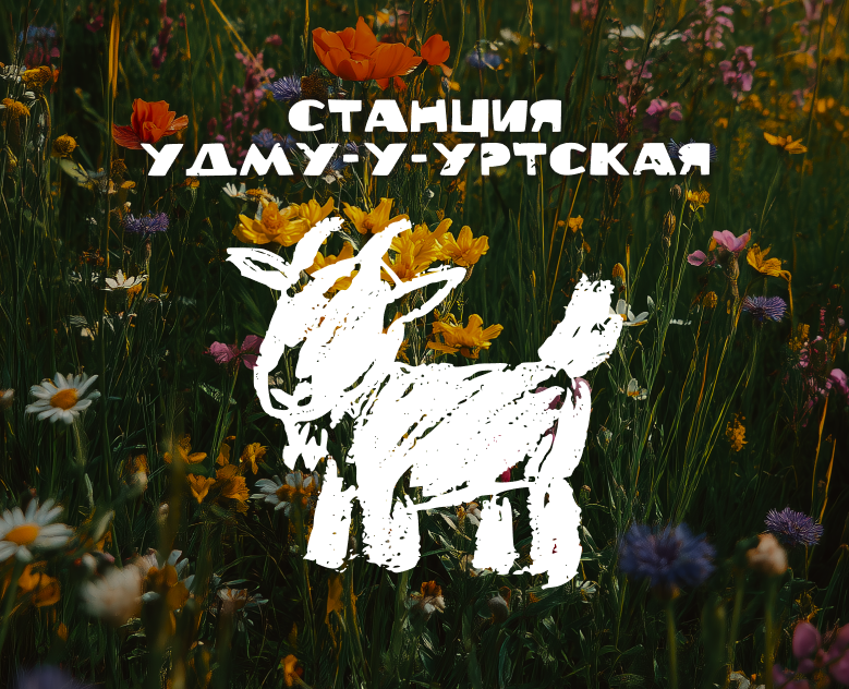 Станция Удмуртская | Дизайн упаковки молока — Брендинг на Dprofile