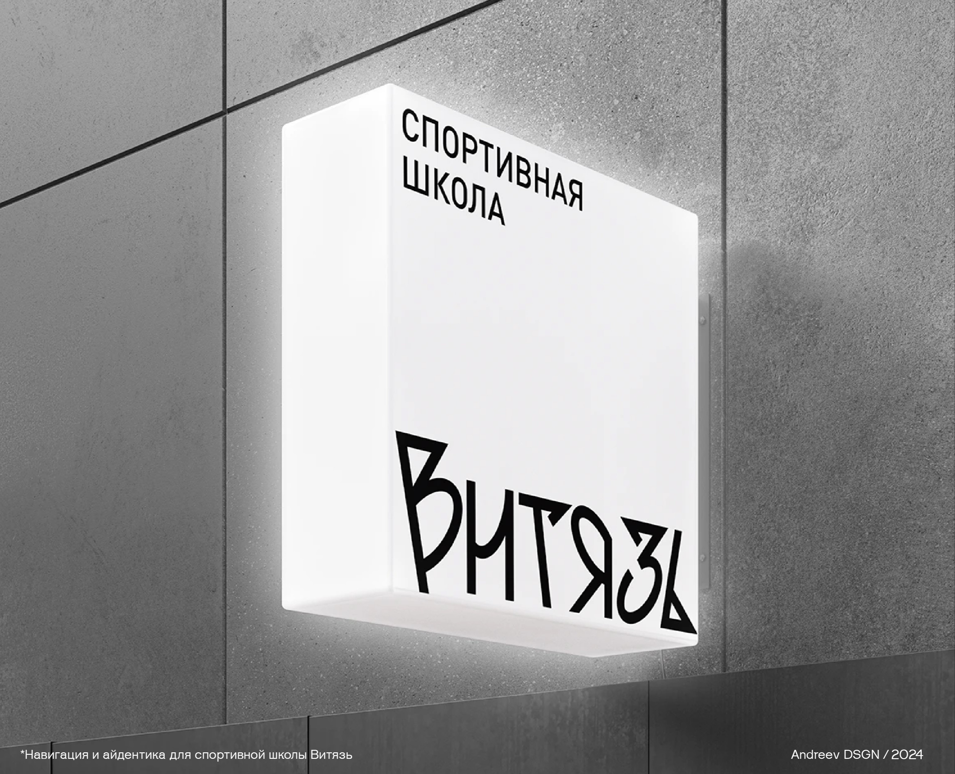 Навигация и айдентика для спортшколы «Витязь» на Dprofile