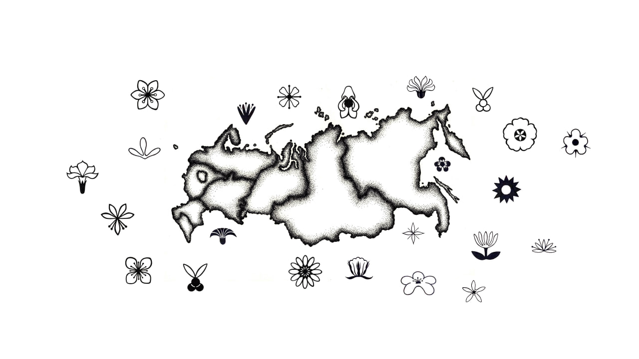 Ядовитые растения России — Изображение №5 — Иллюстрация, Графика на Dprofile